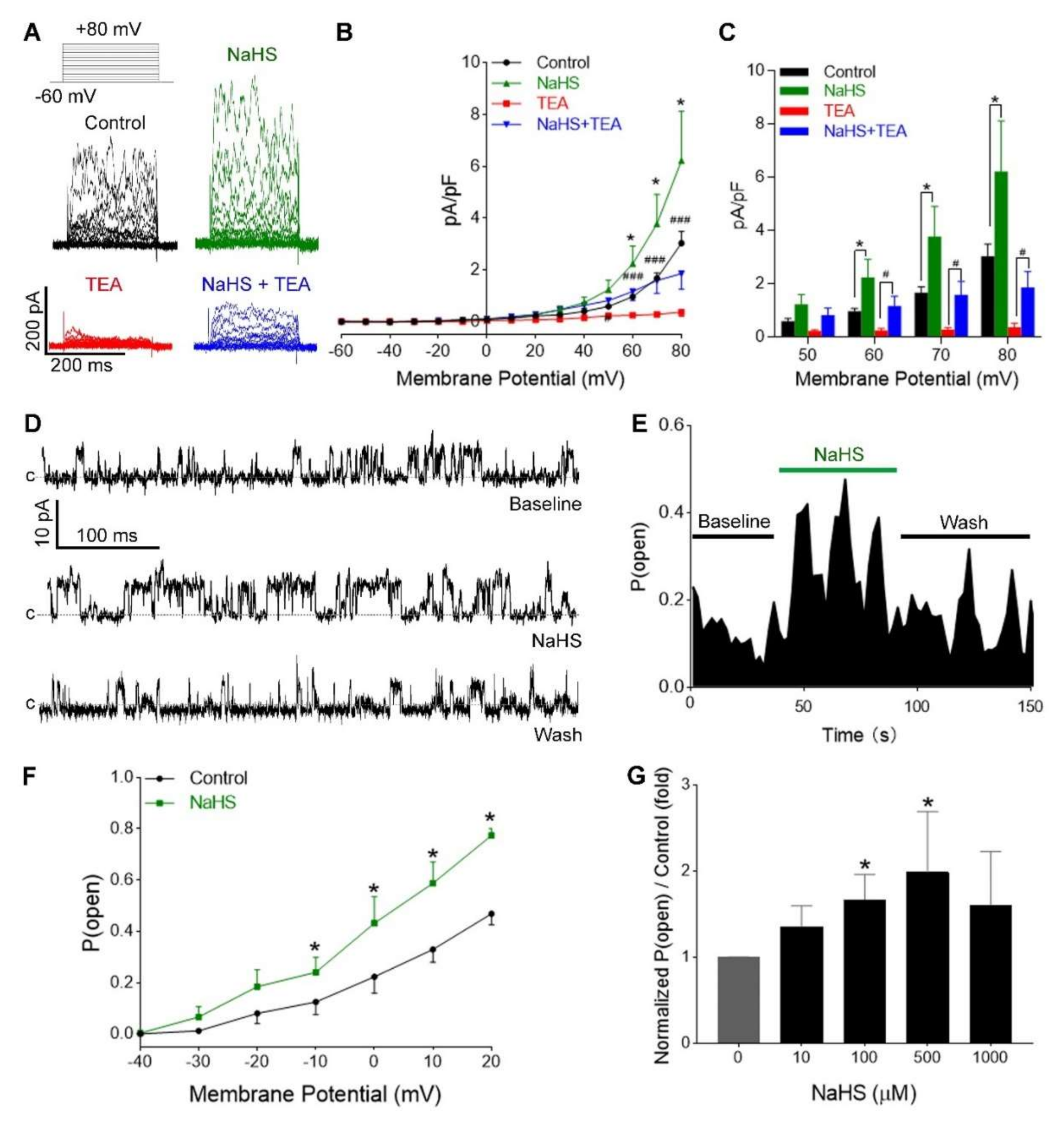 Antioxidants 09 01127 g003