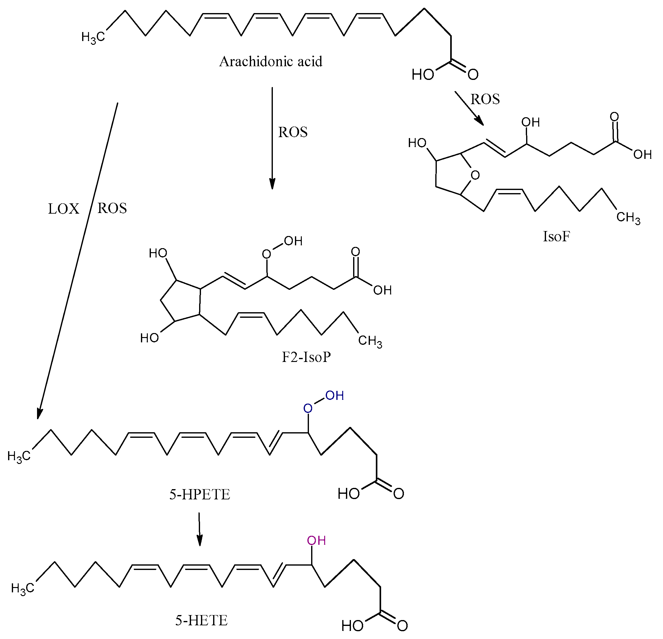 Antioxidants 09 01128 g003