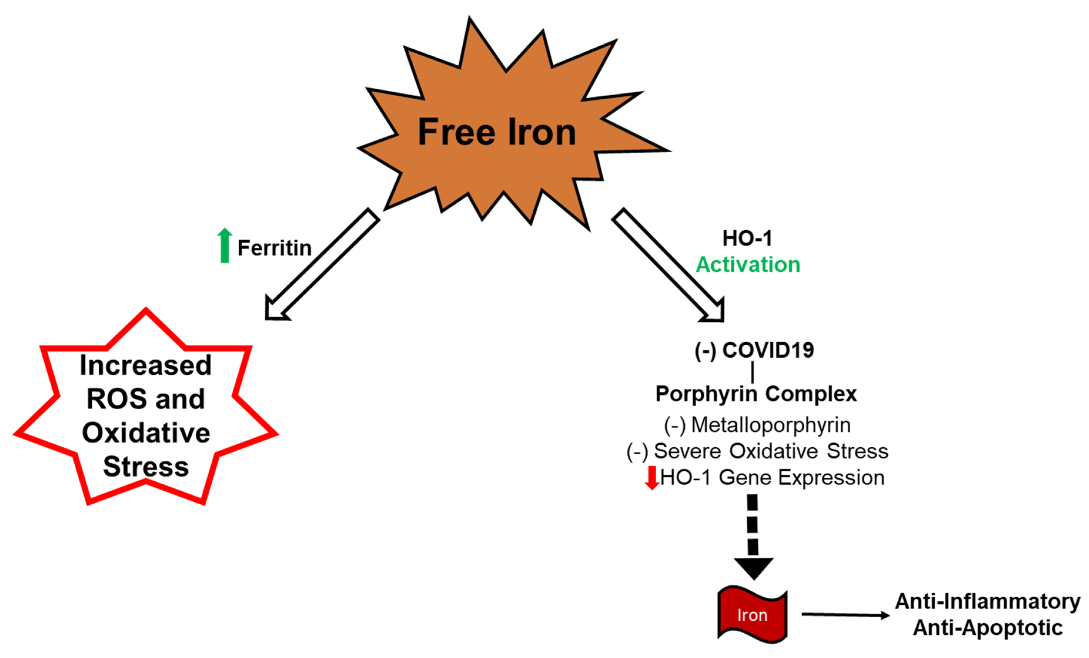Antioxidants 09 01129 g002 Antioxidants 09 01129 g002