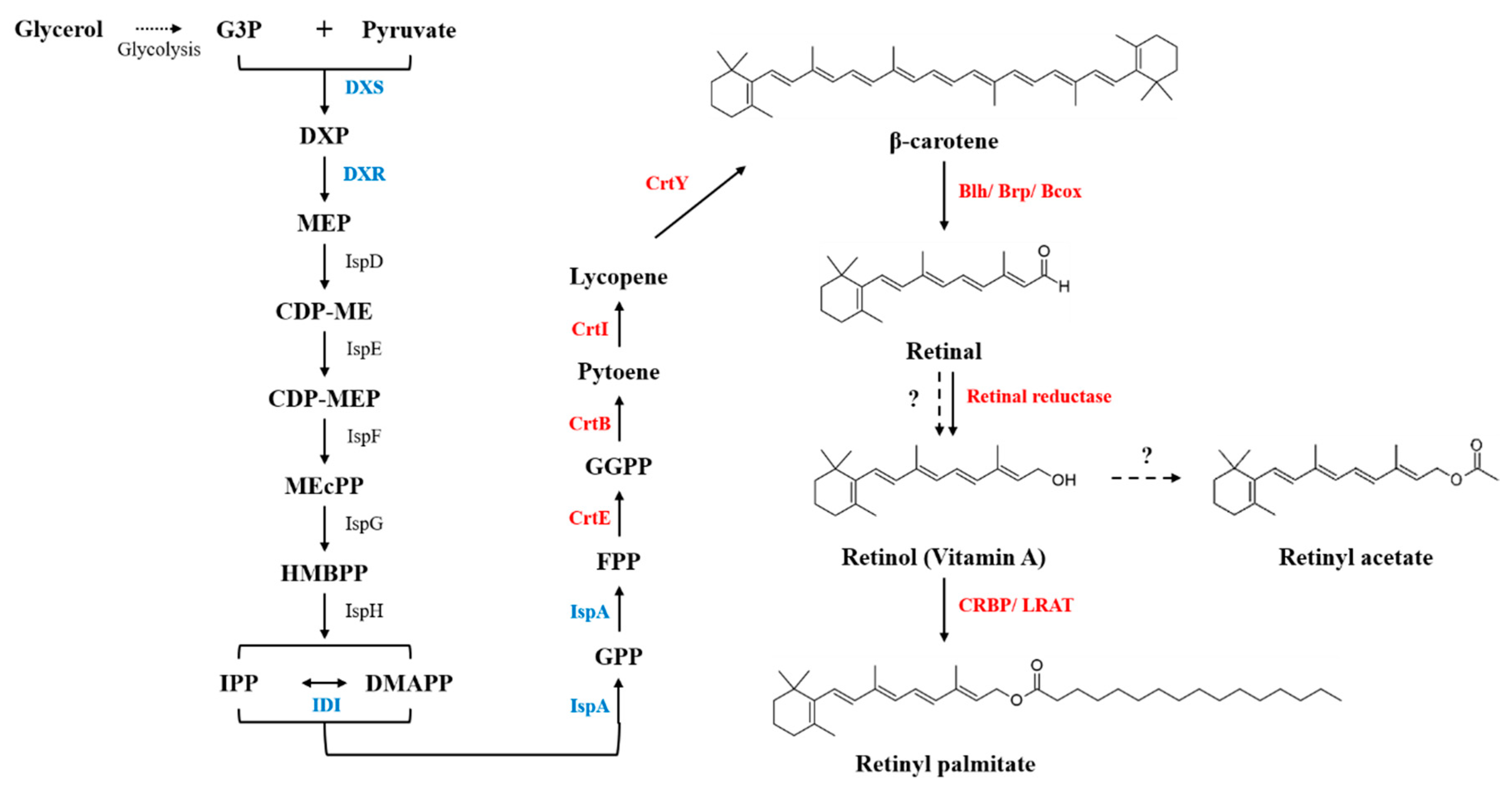 Antioxidants 09 01130 g001