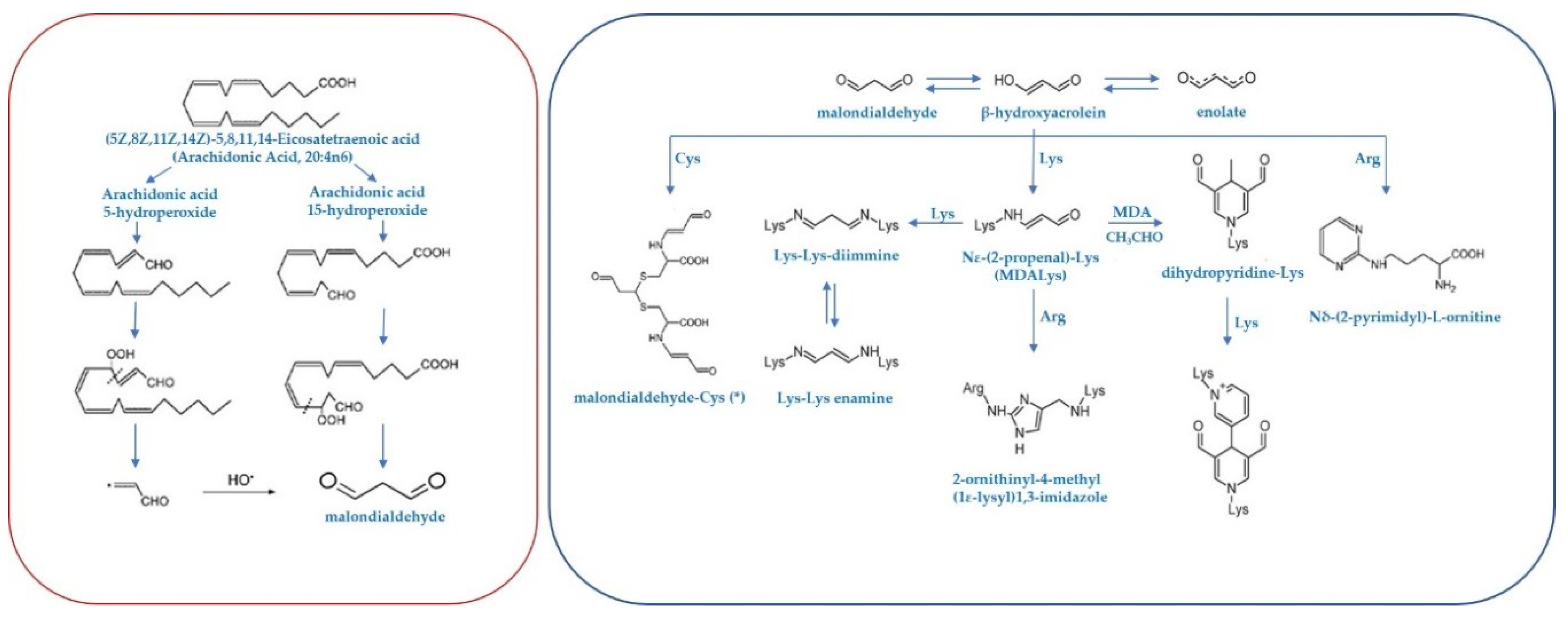 Antioxidants 09 01132 g002