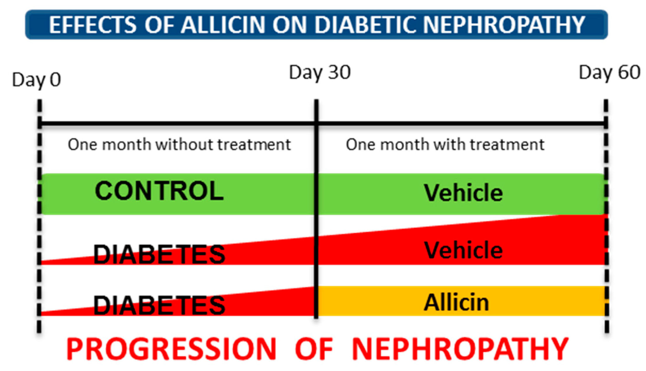 Antioxidants 09 01134 g001