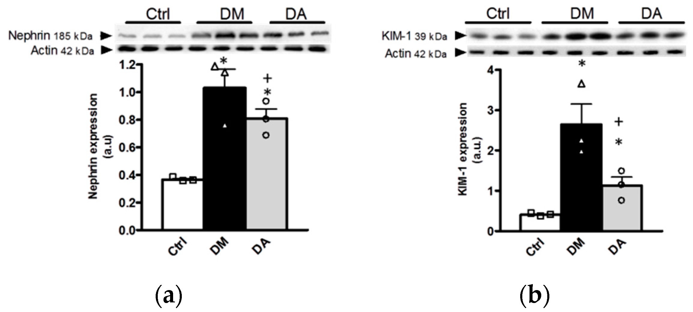 Antioxidants 09 01134 g003