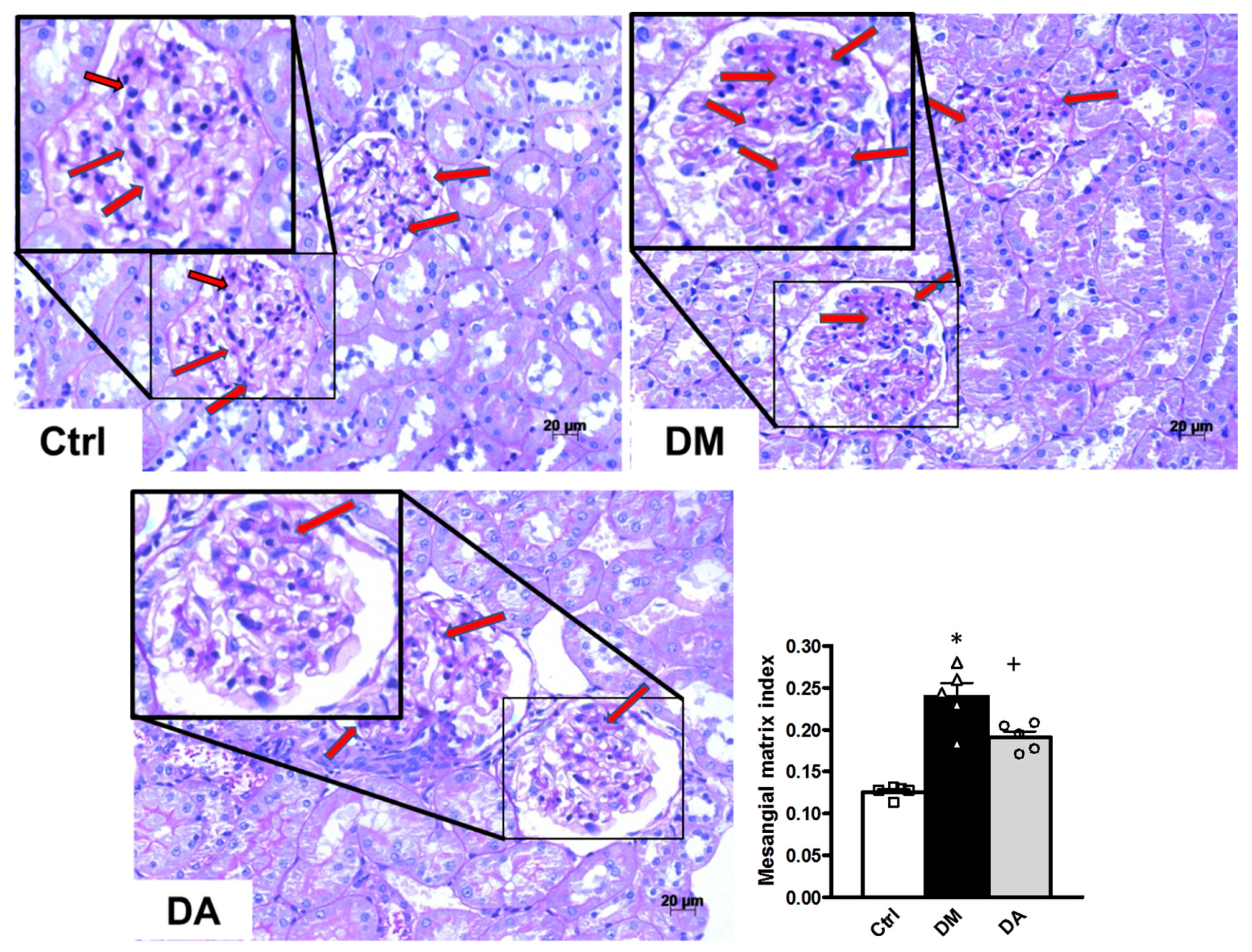 Antioxidants 09 01134 g004