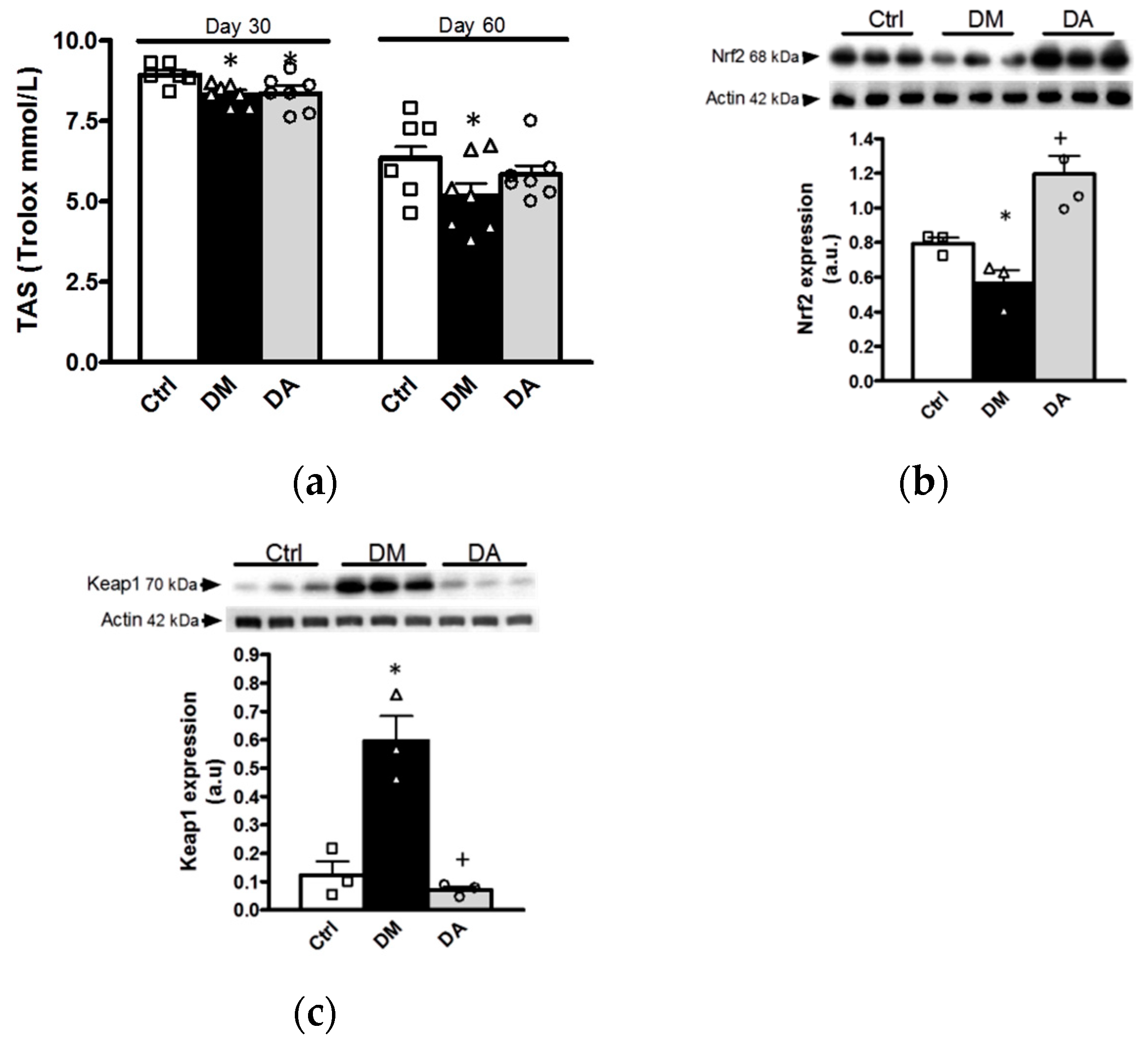 Antioxidants 09 01134 g007
