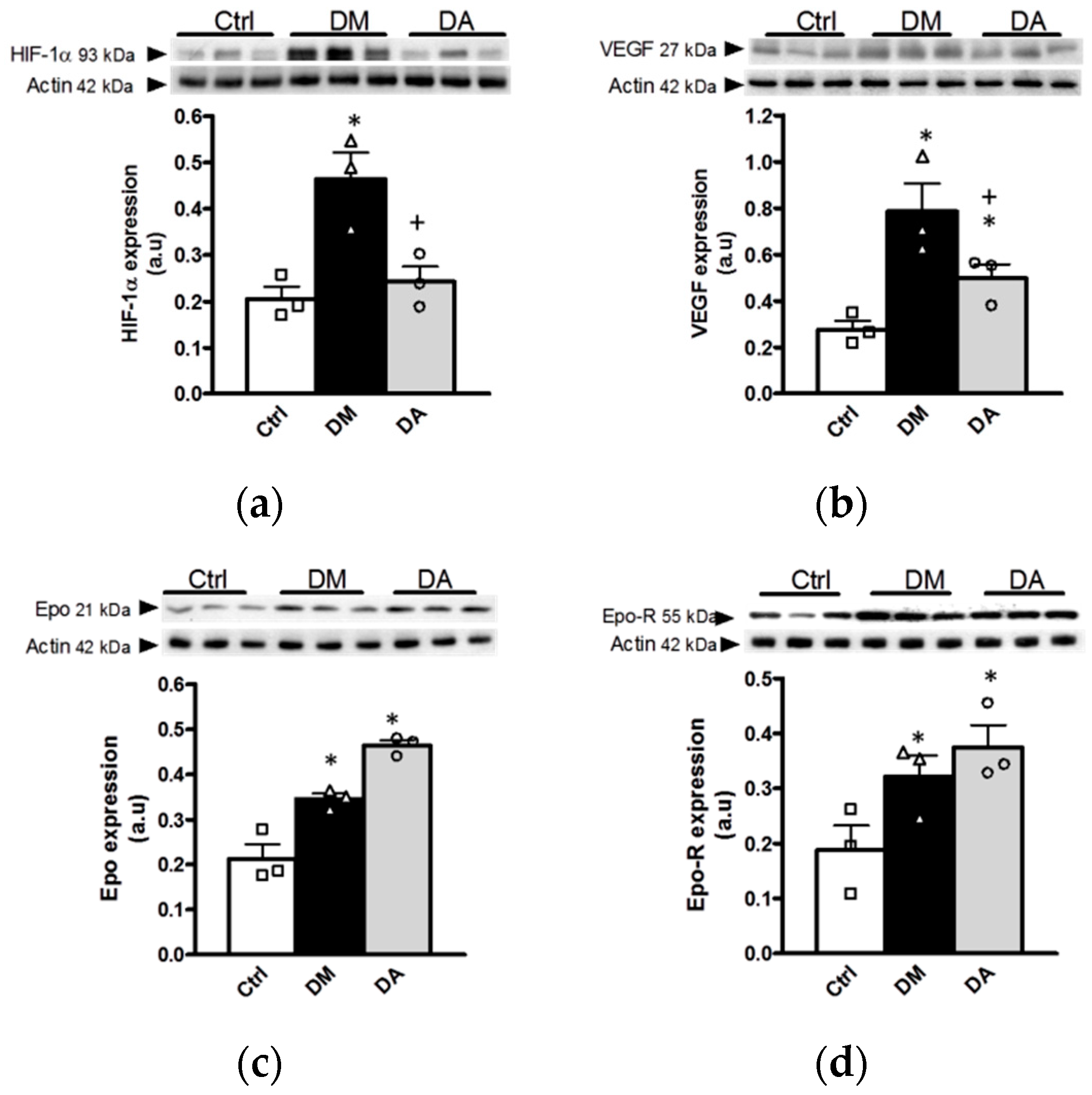 Antioxidants 09 01134 g008