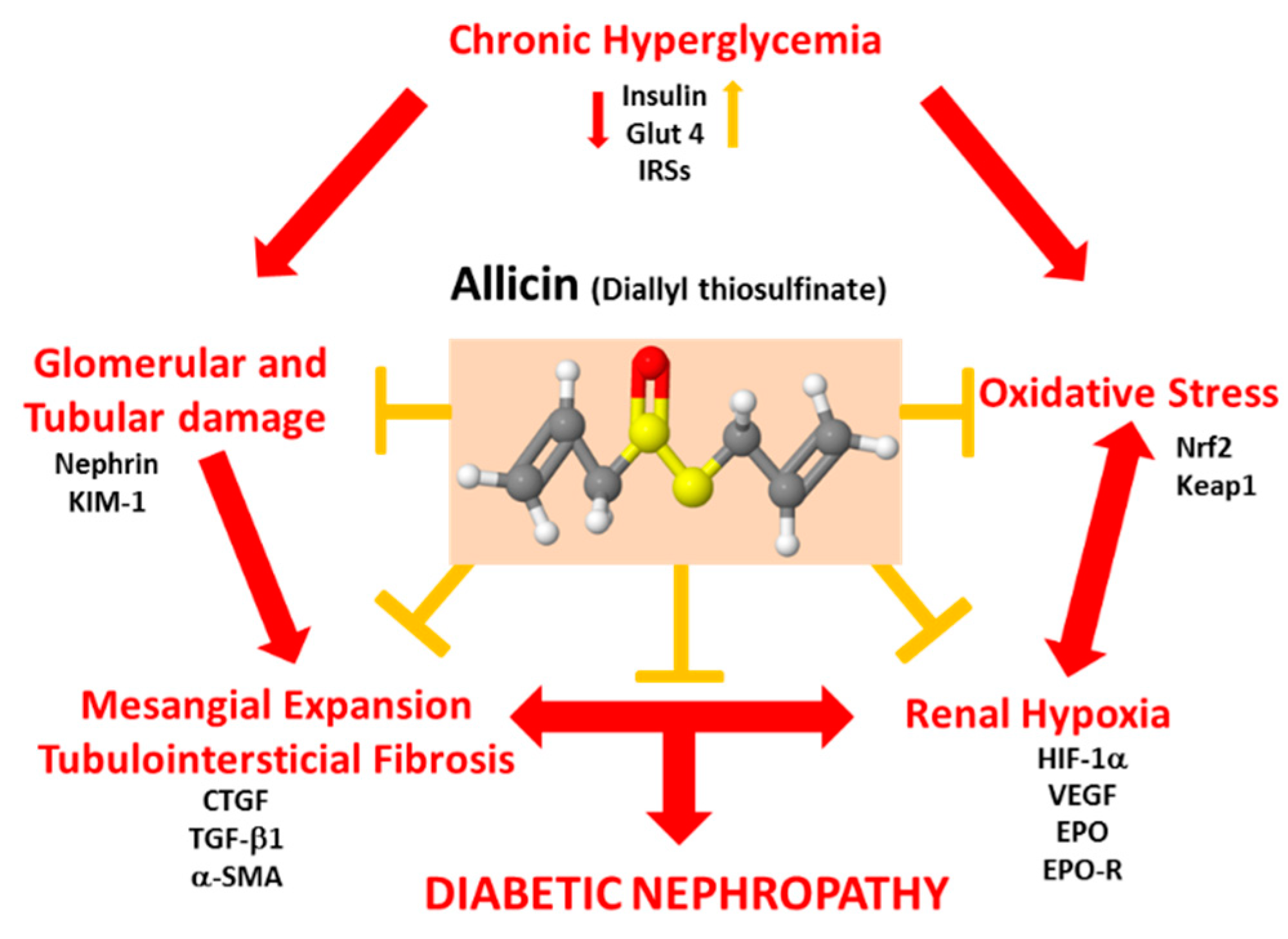 Antioxidants 09 01134 g010