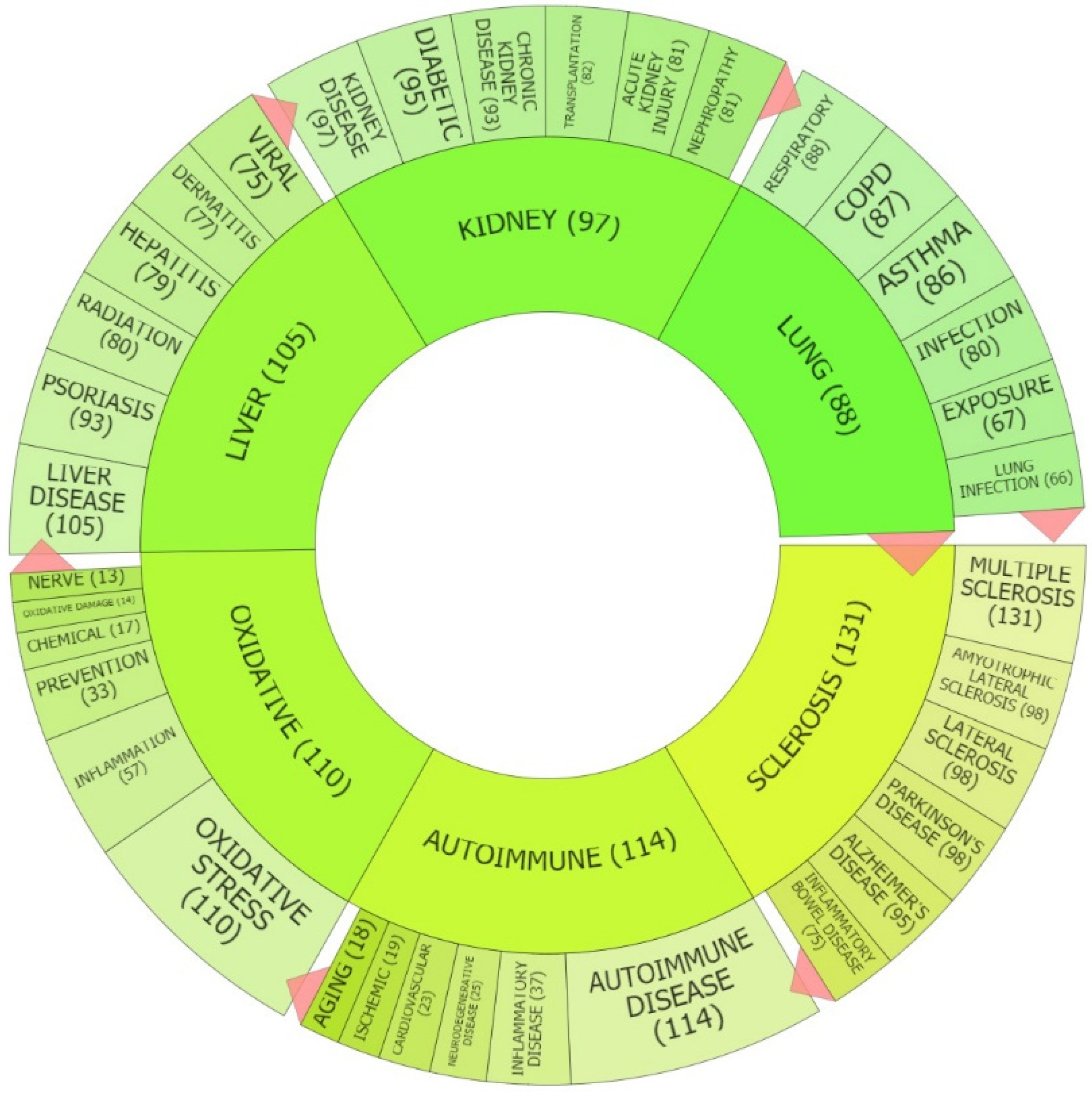 Antioxidants 09 01138 g003