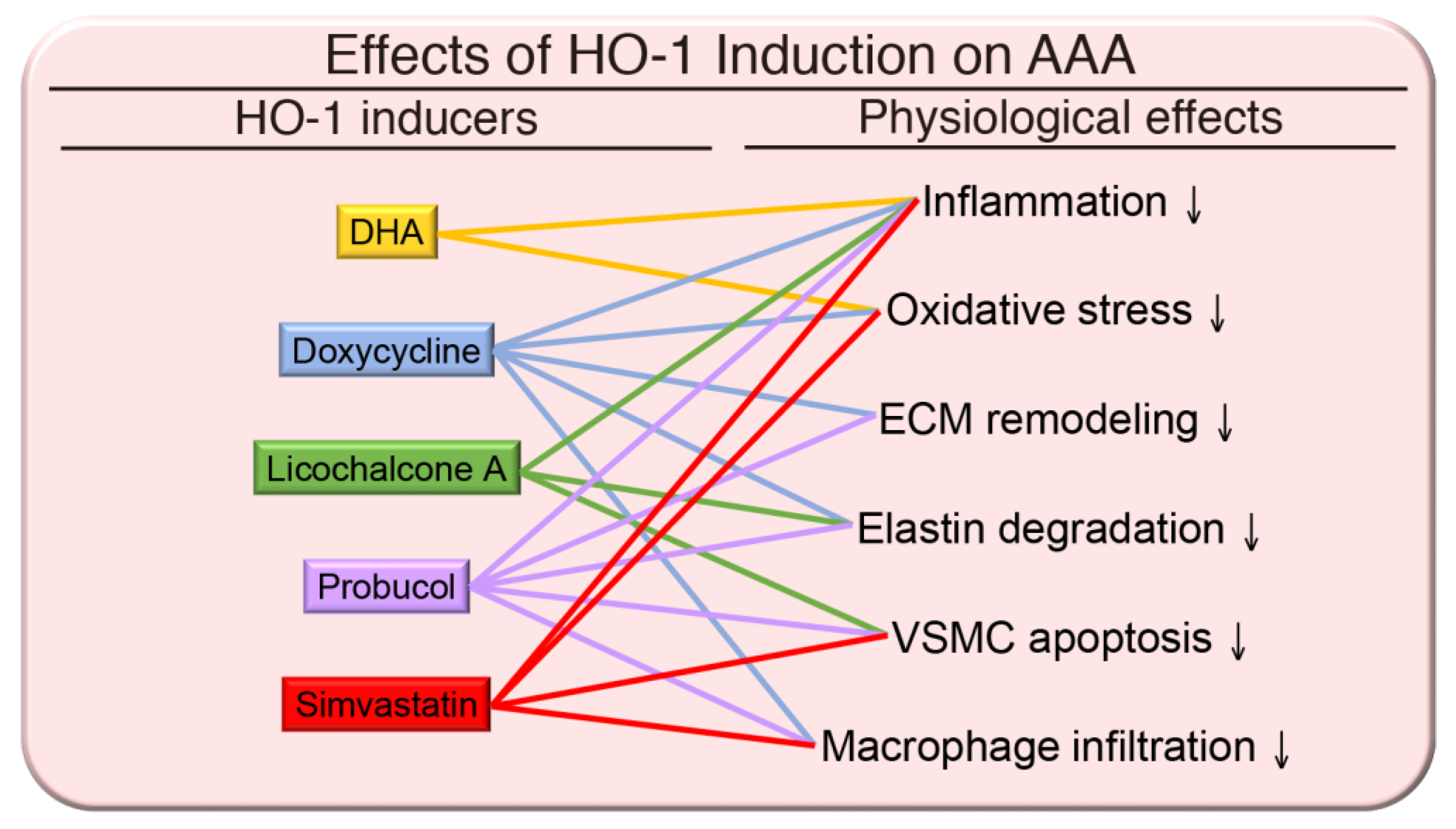 Antioxidants 09 01150 g002