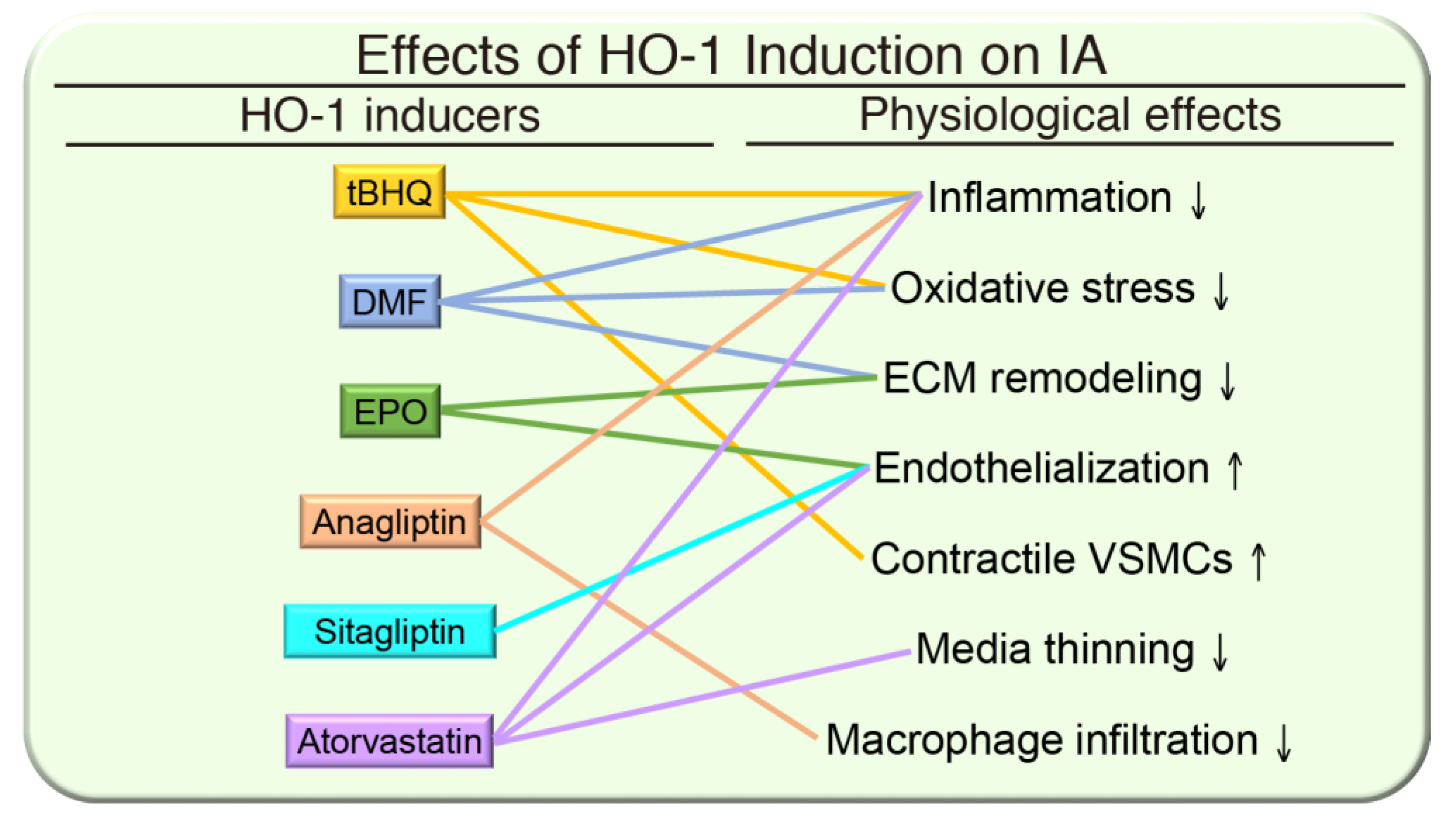 Antioxidants 09 01150 g003