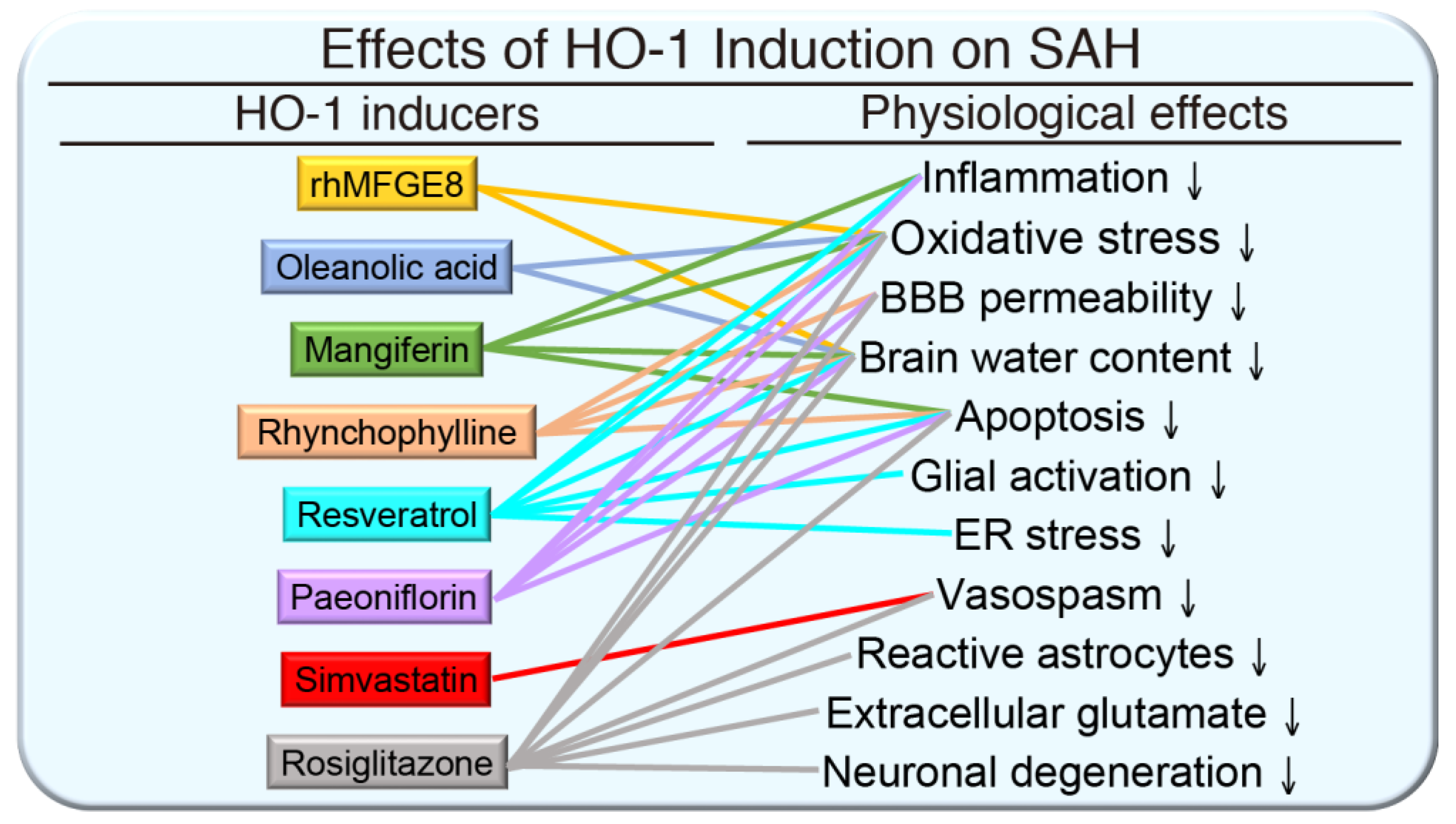 Antioxidants 09 01150 g004