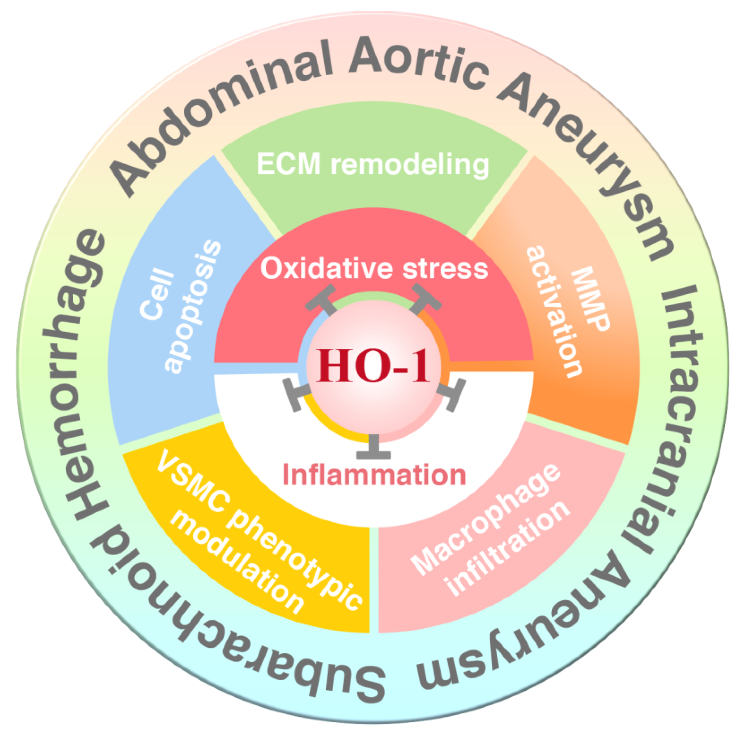Antioxidants 09 01150 g005