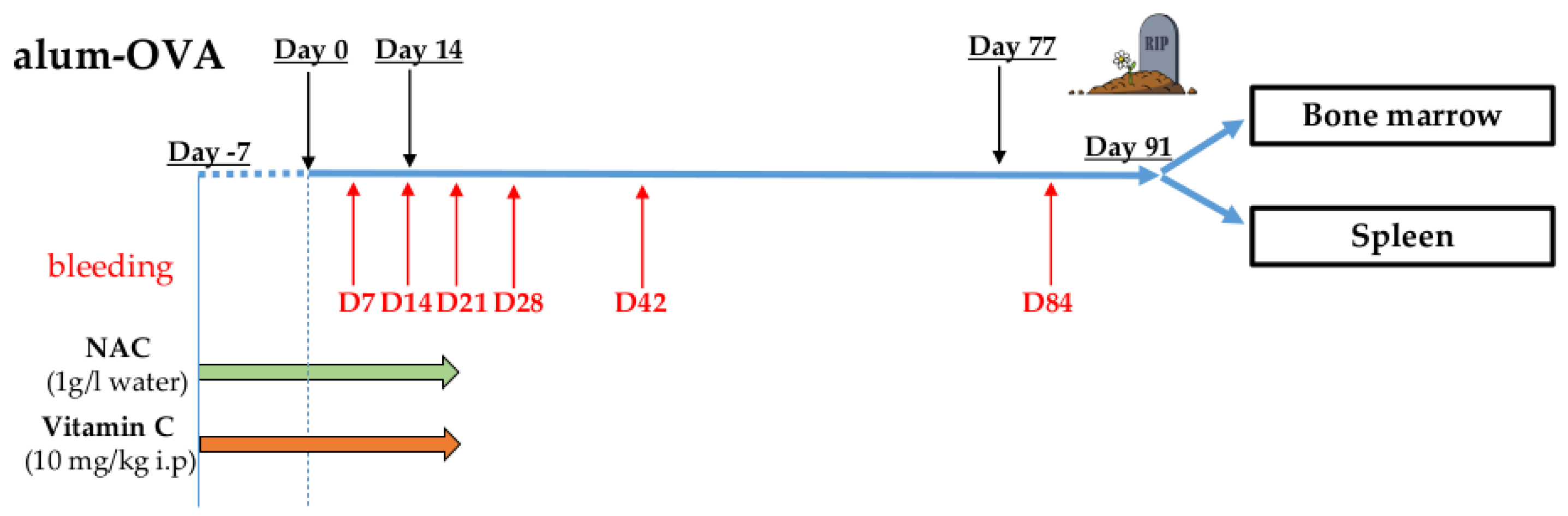 Antioxidants 09 01152 g001