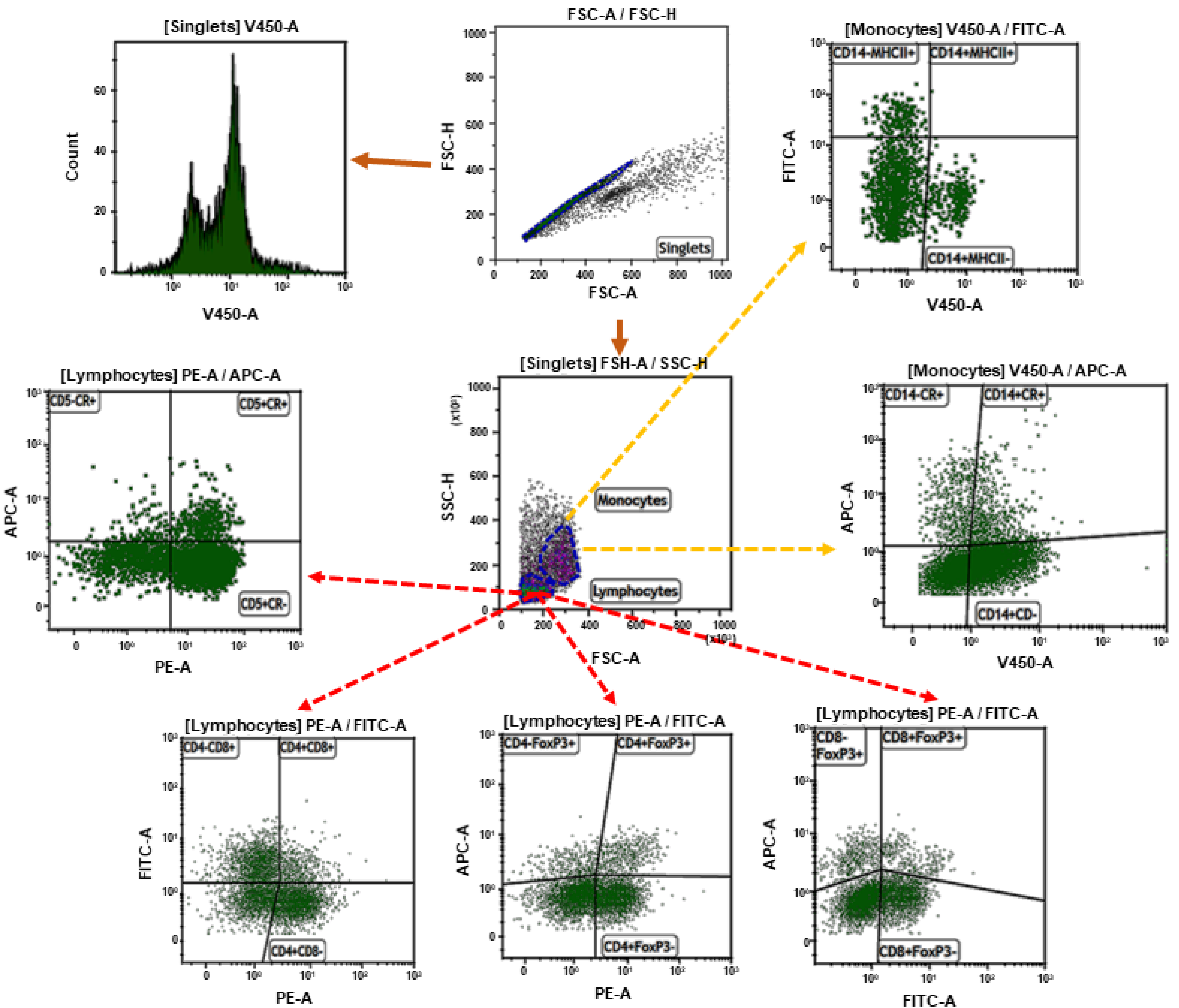 Antioxidants 09 01155 g001