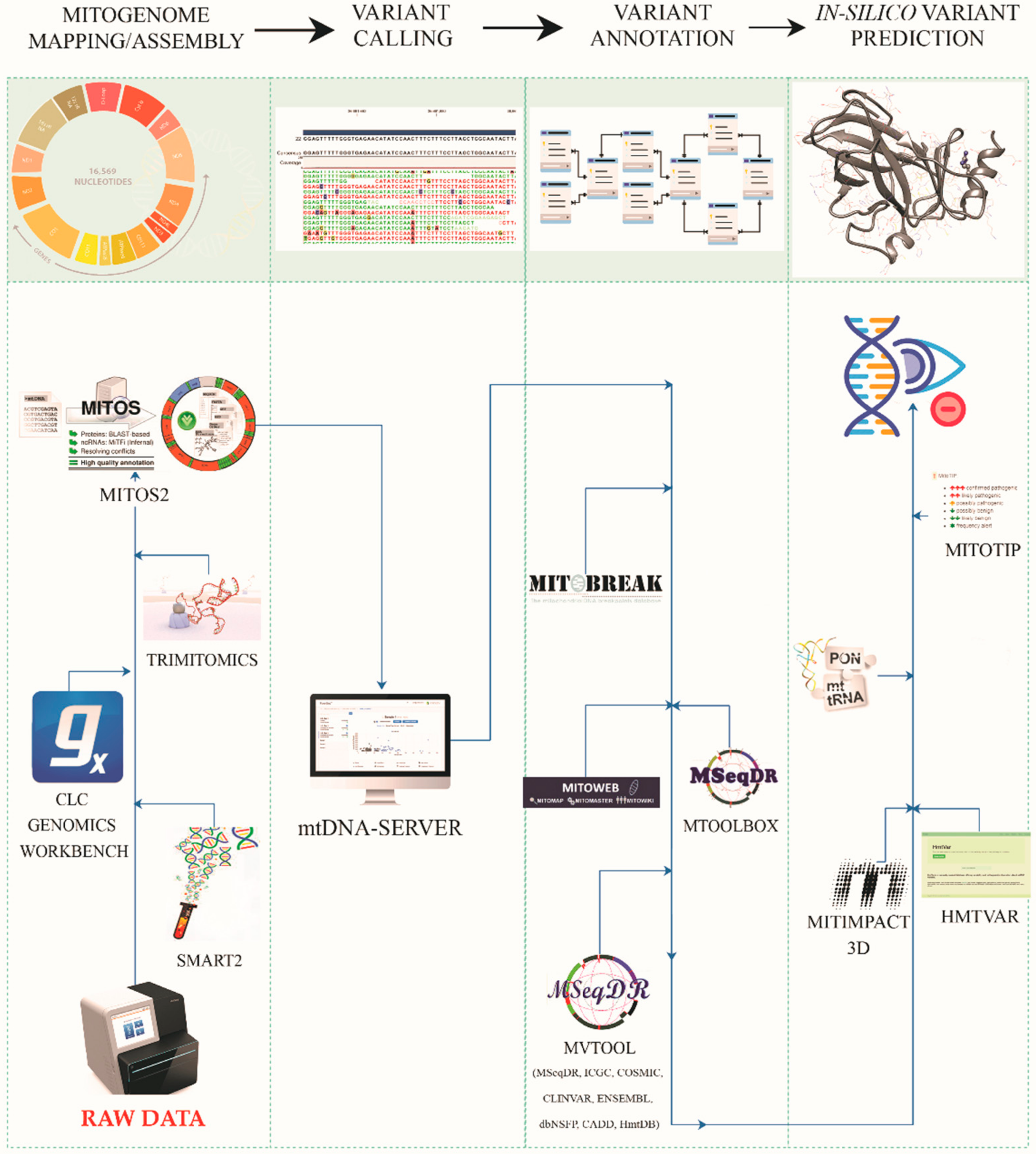 Antioxidants 09 01158 g001