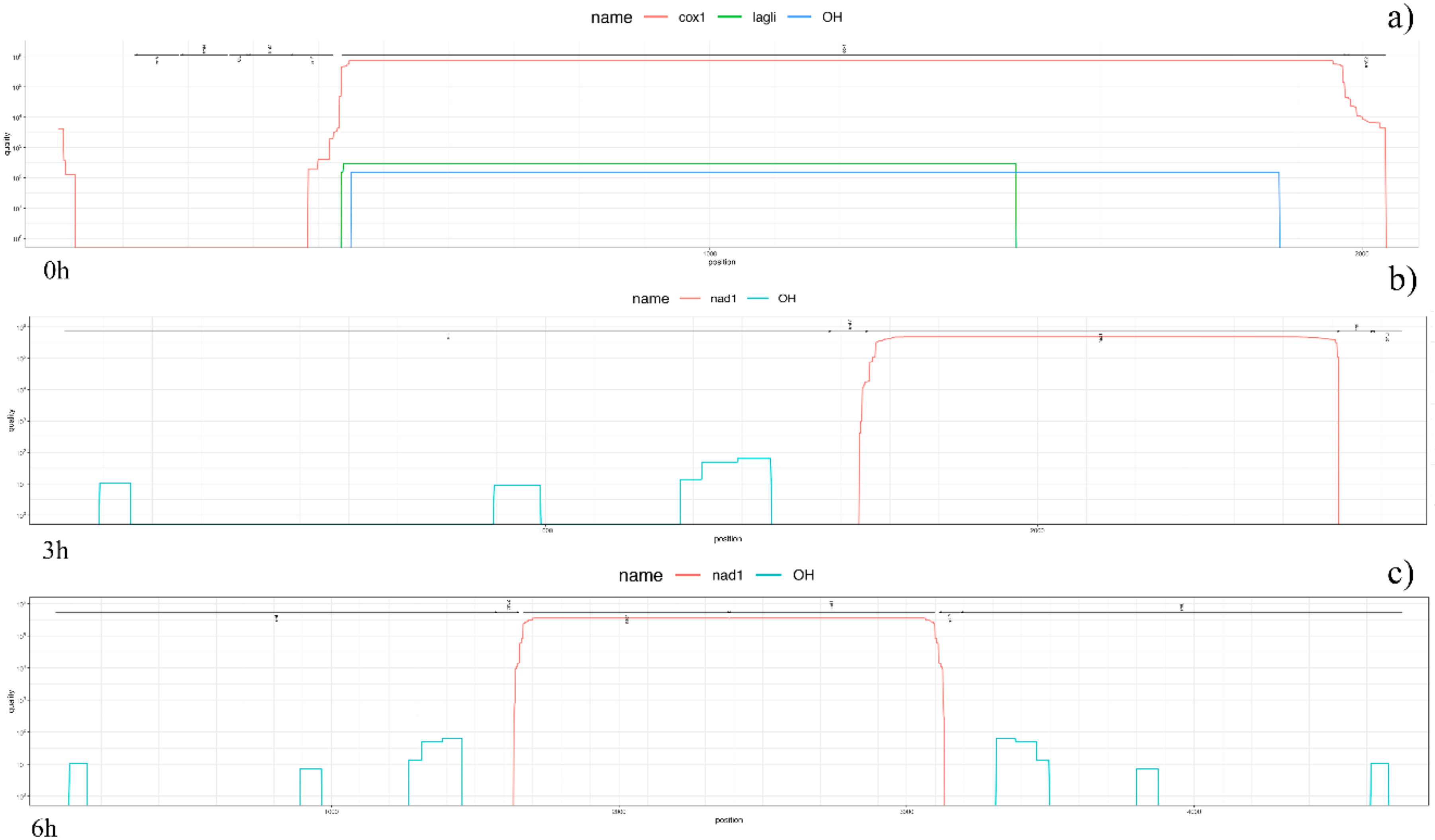 Antioxidants 09 01158 g004