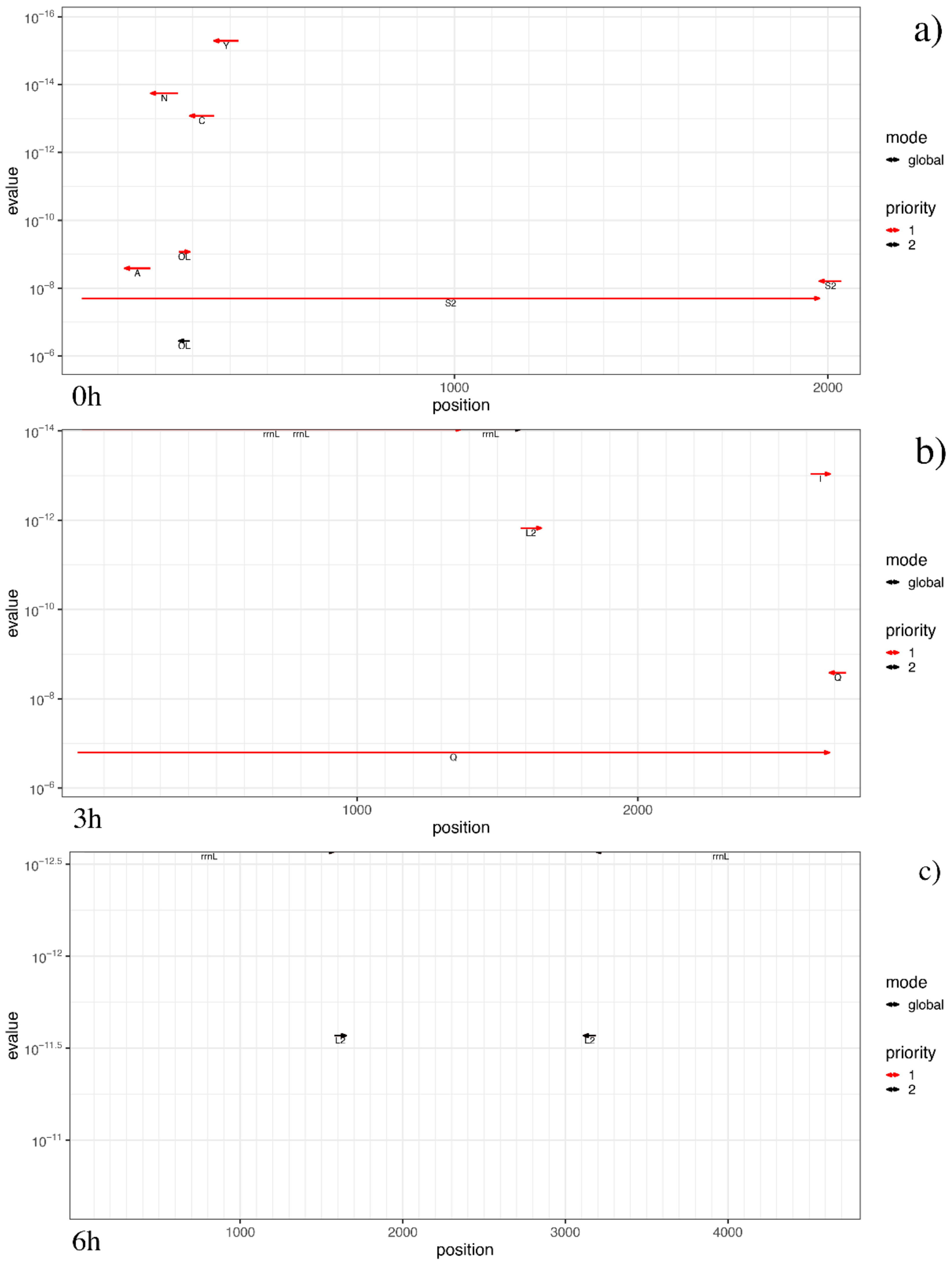Antioxidants 09 01158 g005