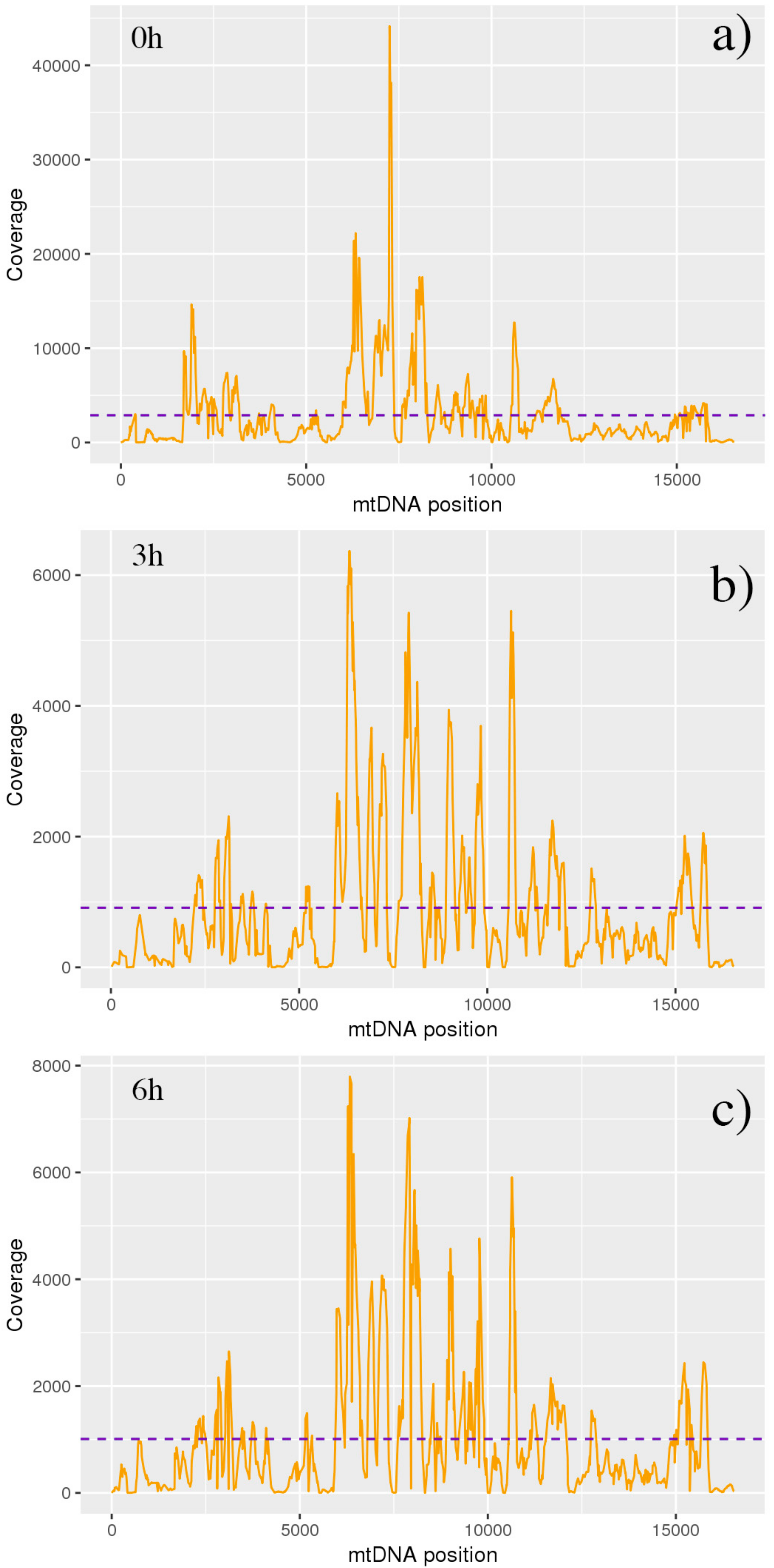 Antioxidants 09 01158 g007