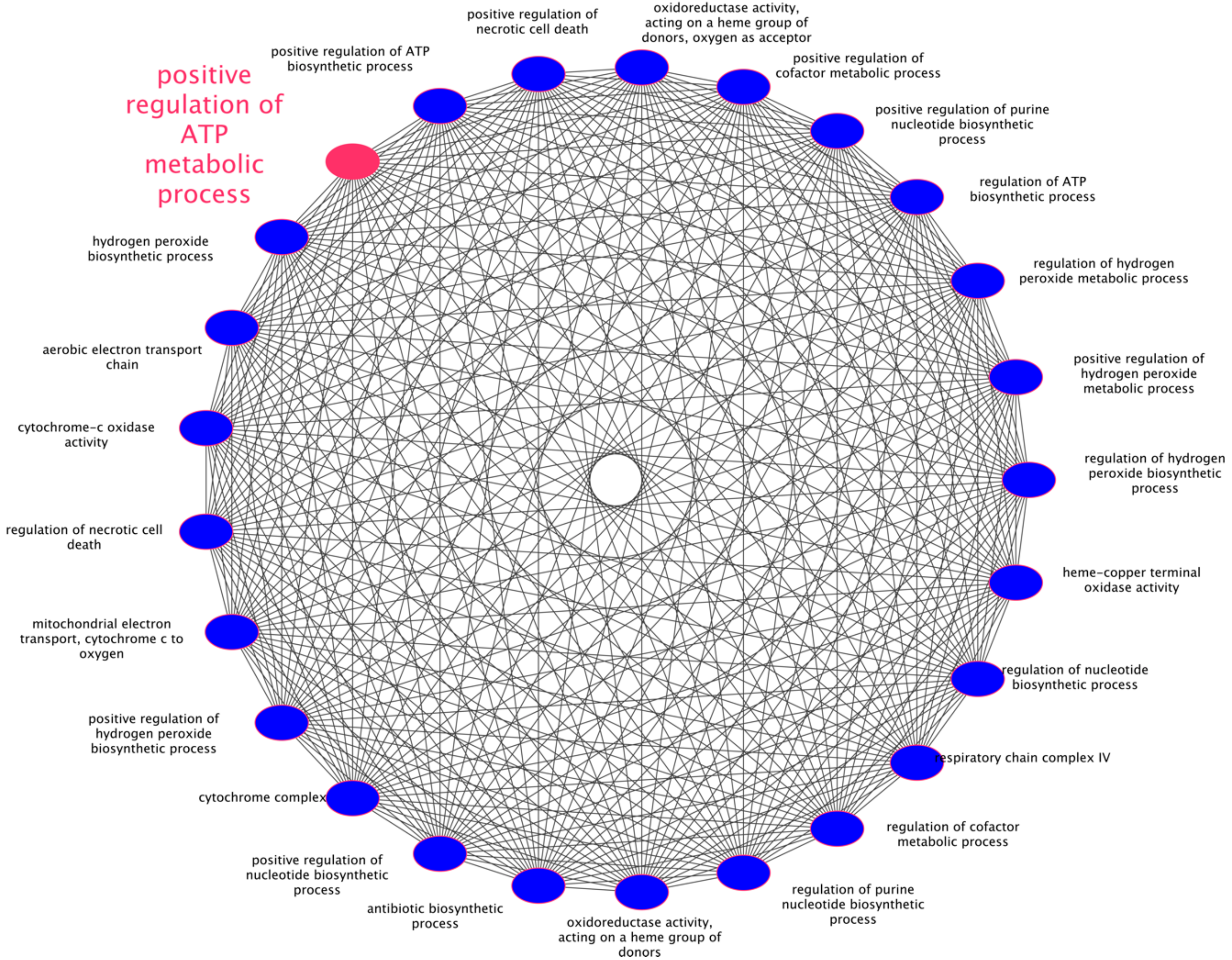 Antioxidants 09 01158 g009