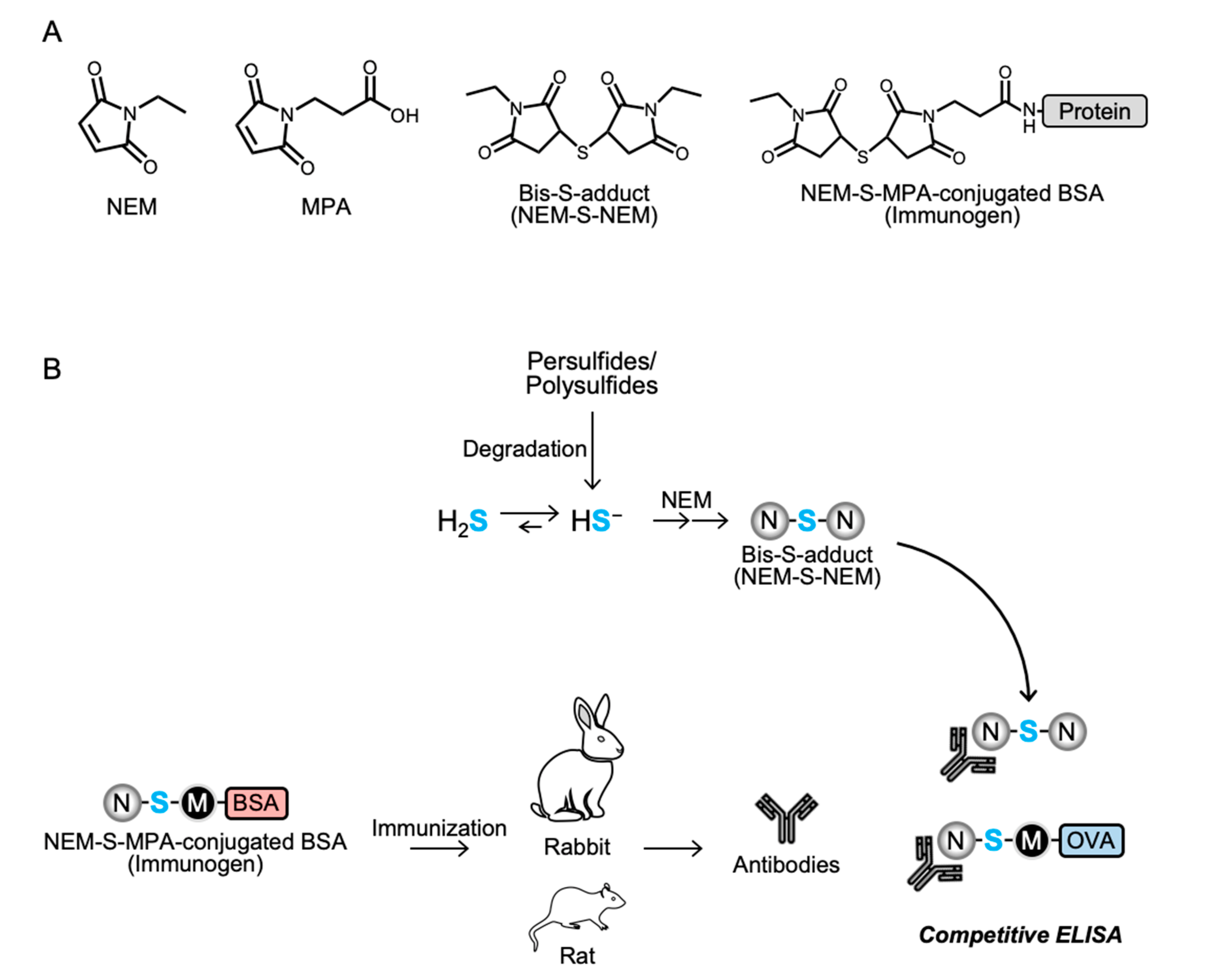 Antioxidants 09 01160 g001