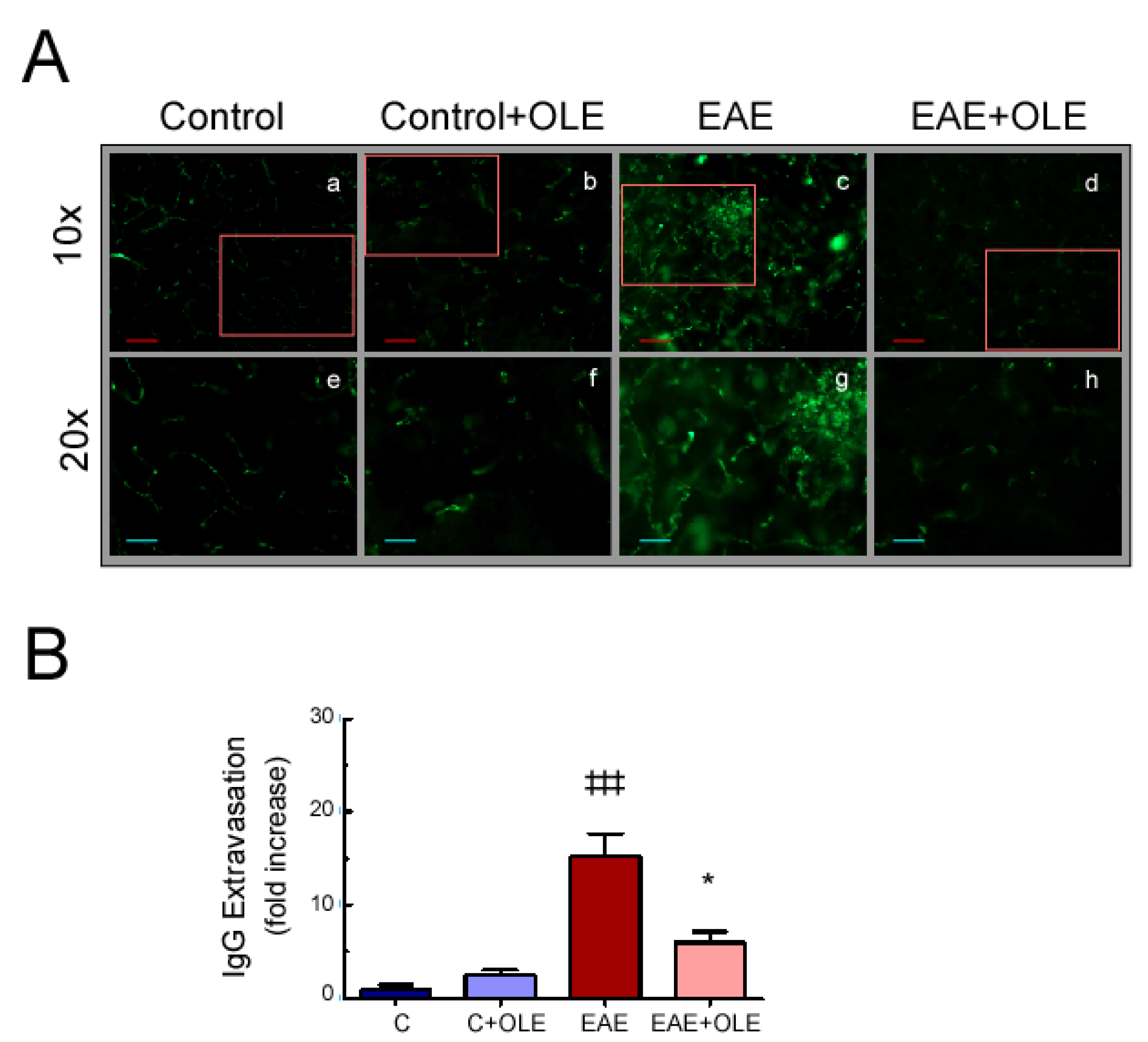 Antioxidants 09 01161 g003
