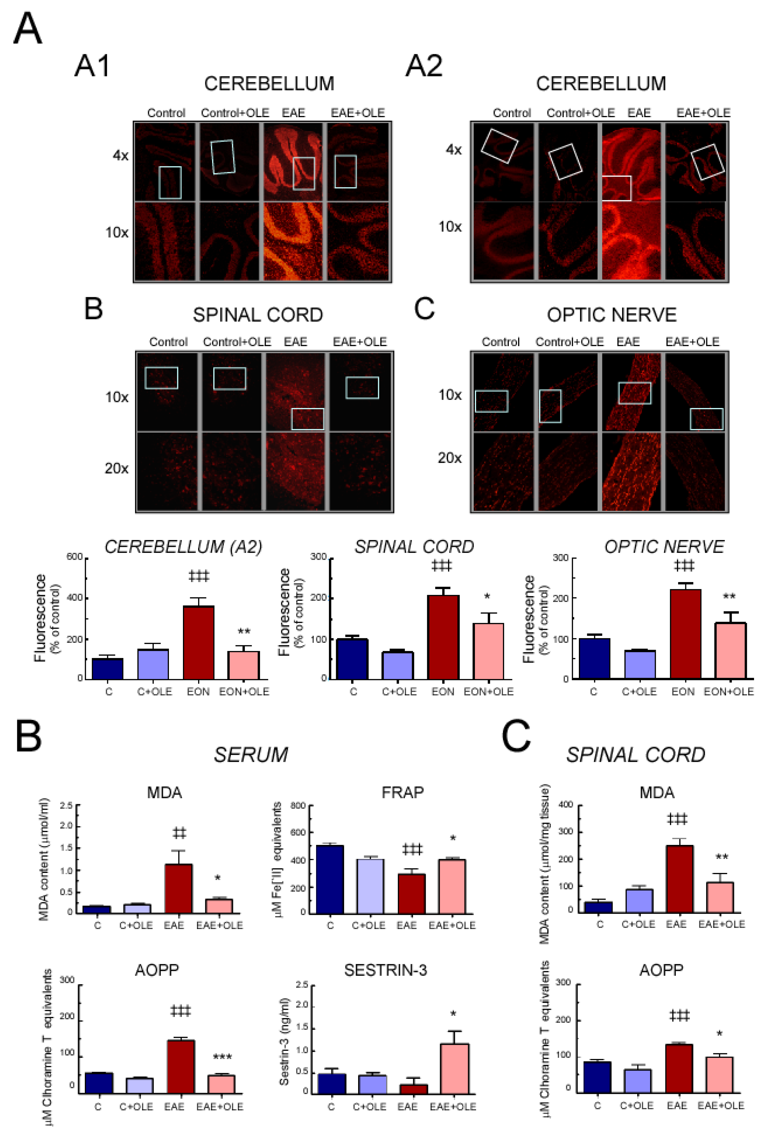 Antioxidants 09 01161 g005