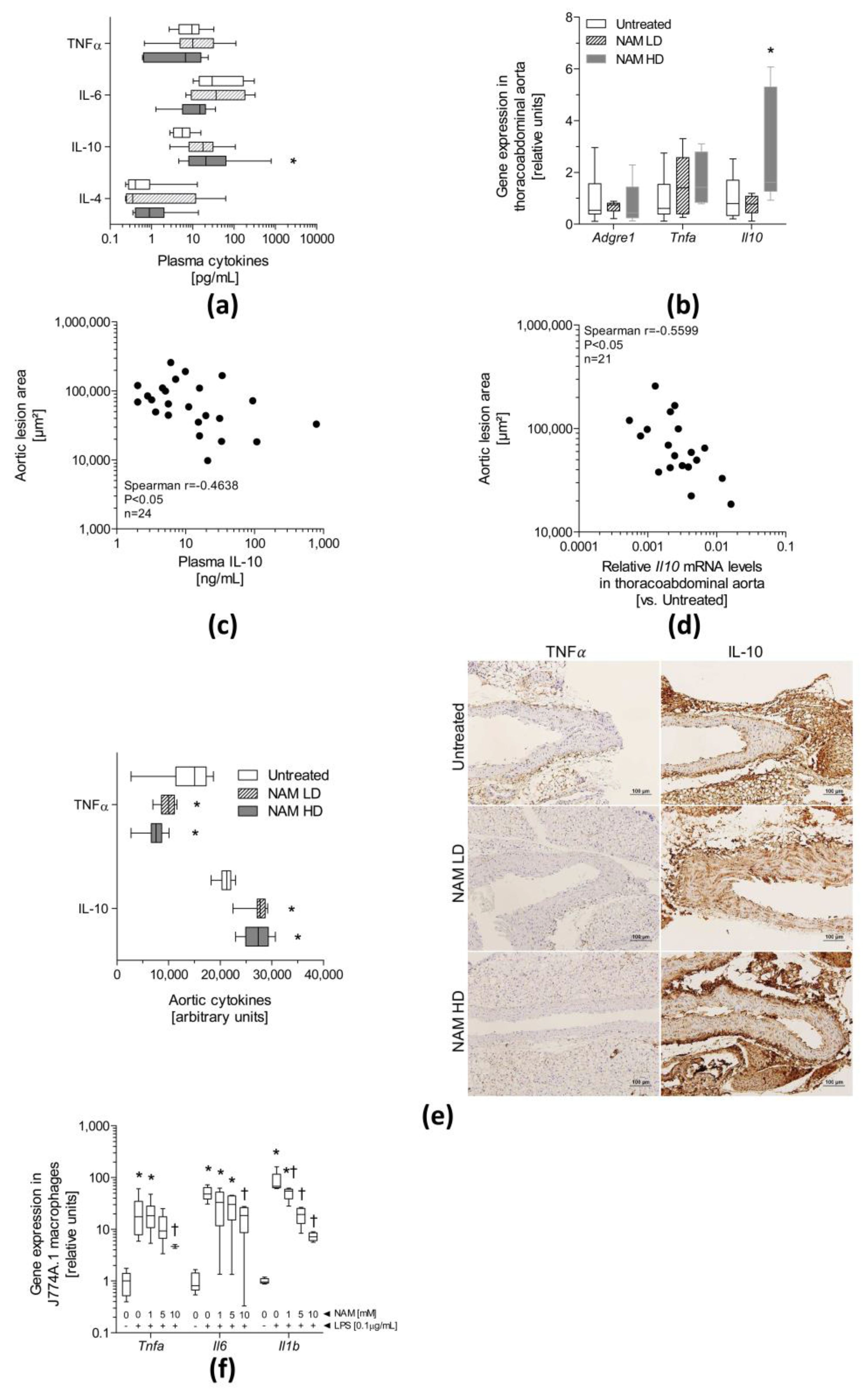 Antioxidants 09 01162 g003 Antioxidants 09 01162 g003