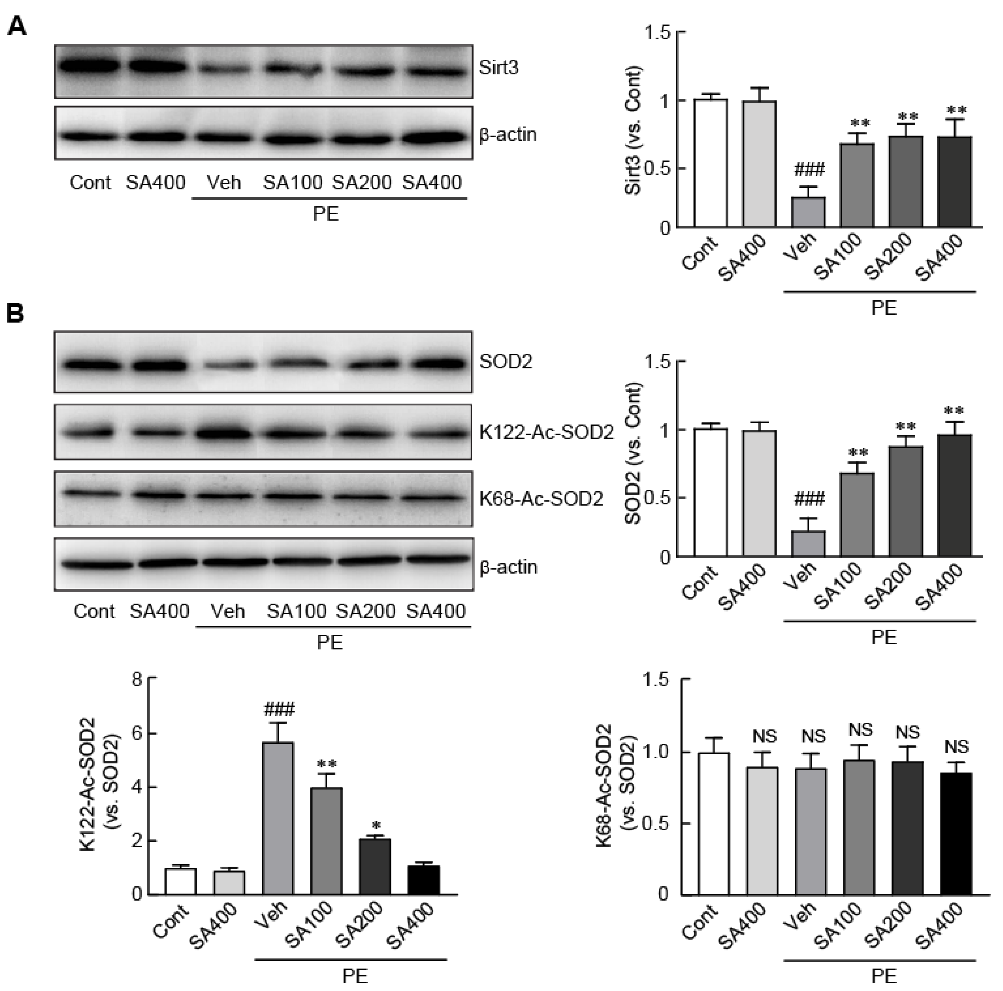 Antioxidants 09 01163 g005
