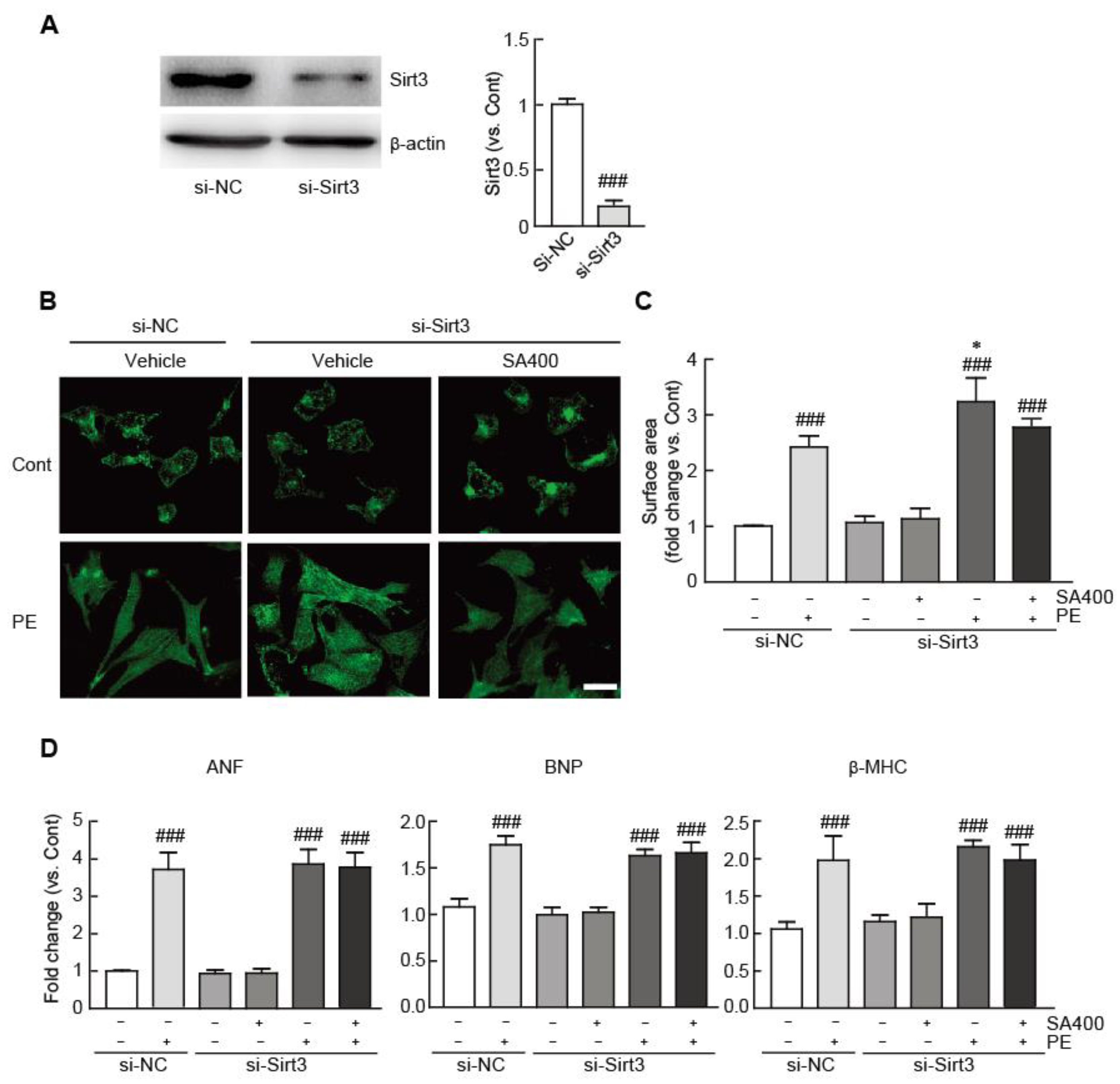 Antioxidants 09 01163 g007