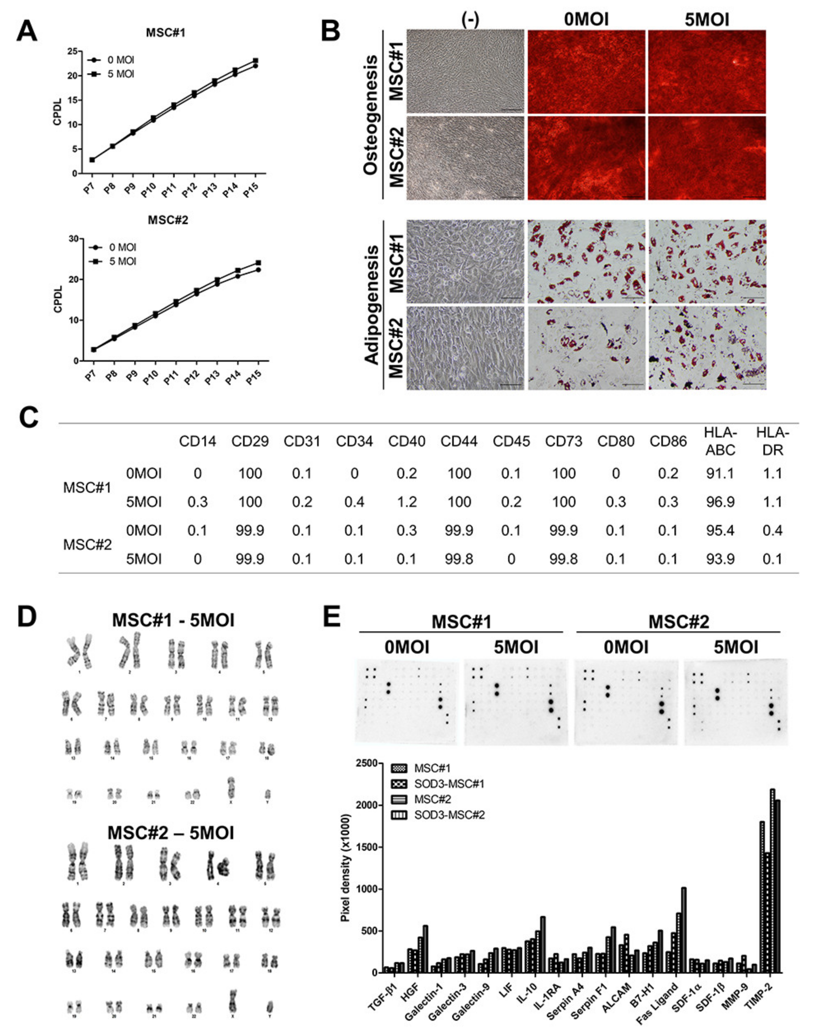 Antioxidants 09 01165 g002