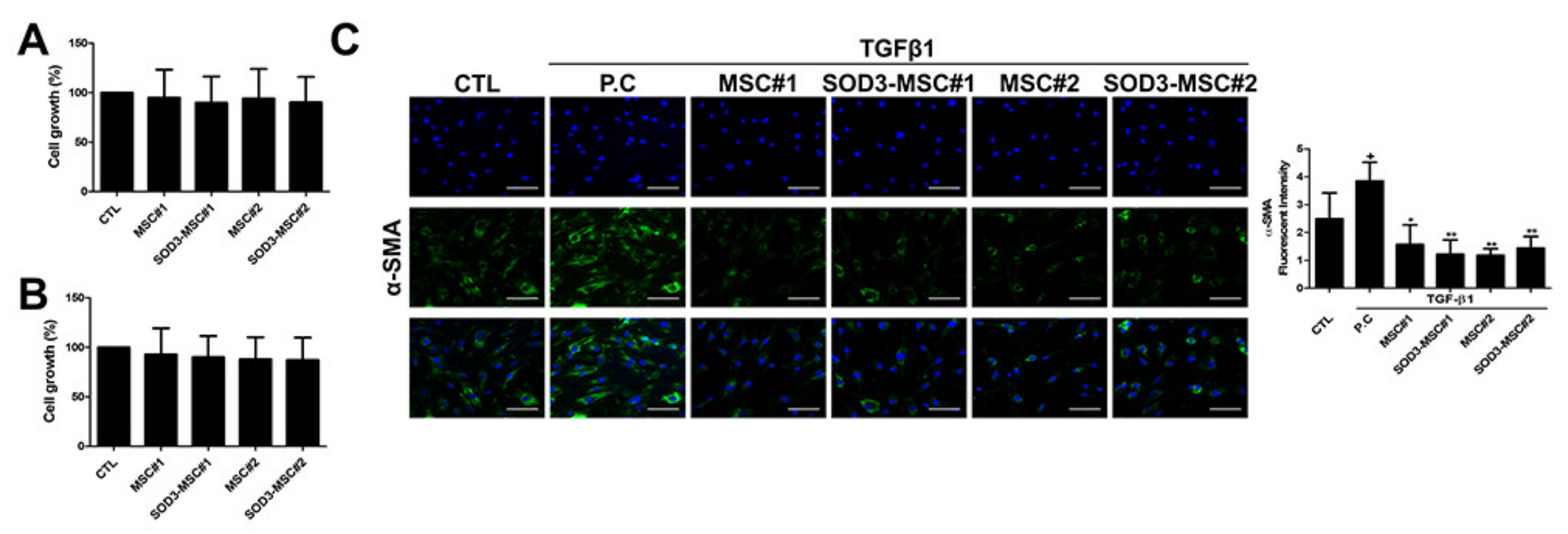Antioxidants 09 01165 g004