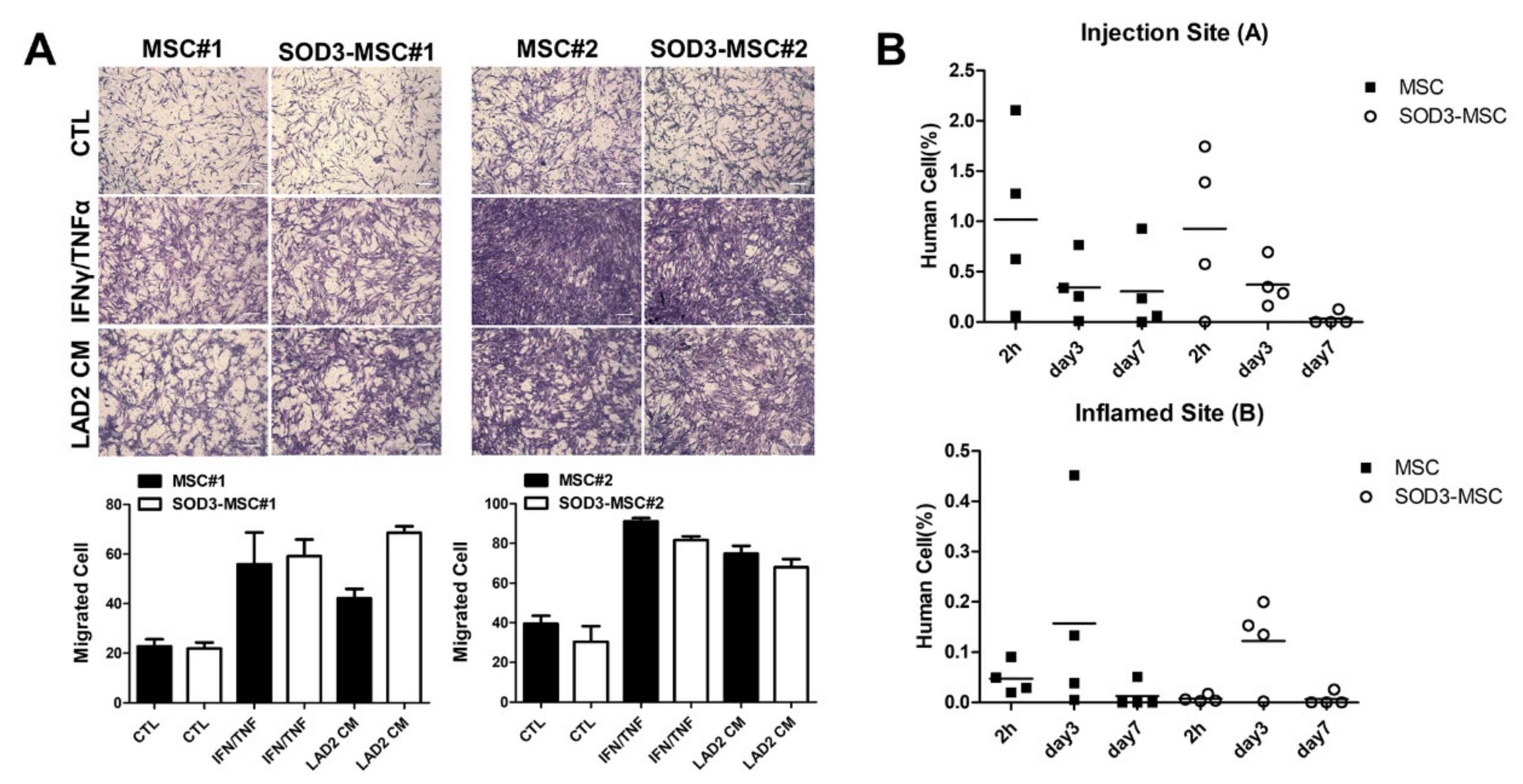 Antioxidants 09 01165 g006