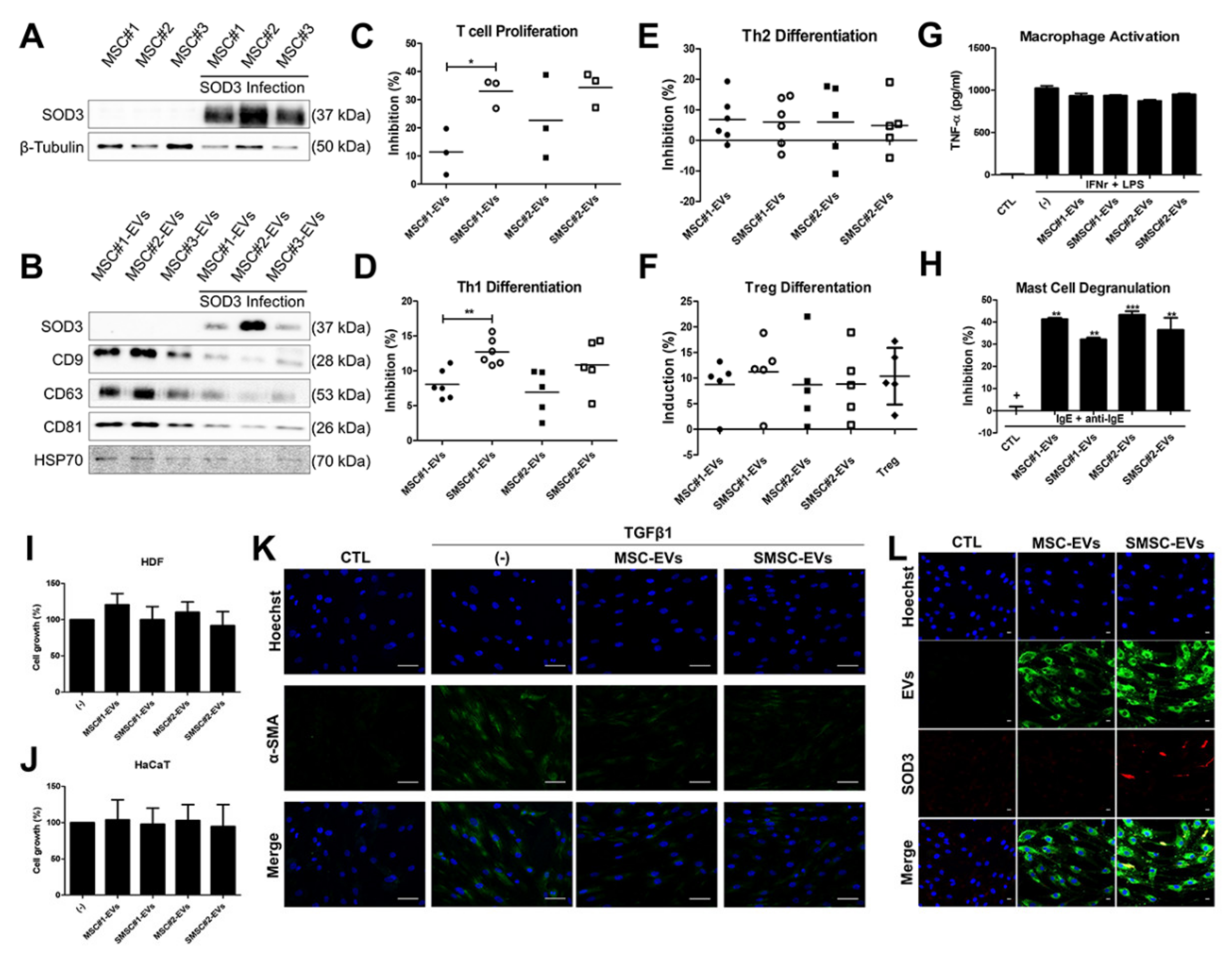 Antioxidants 09 01165 g007