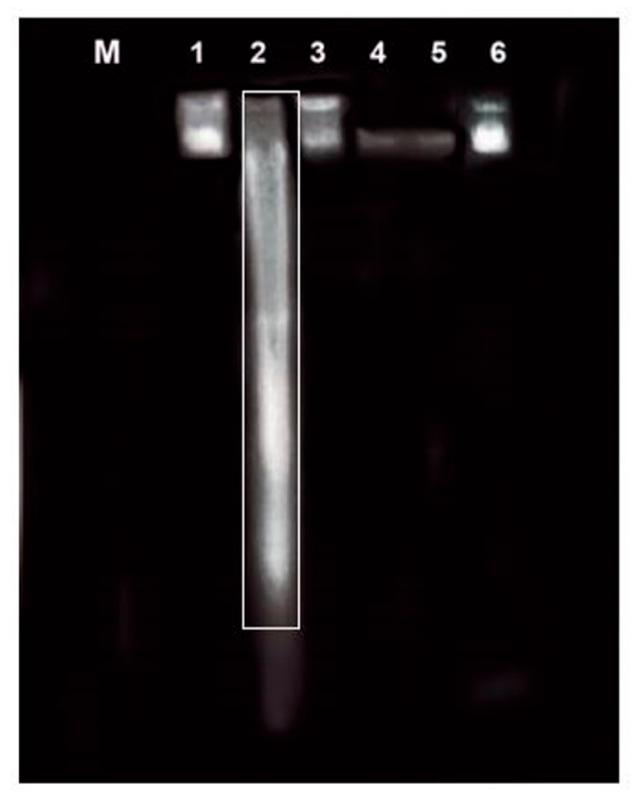 Antioxidants 09 01168 g006