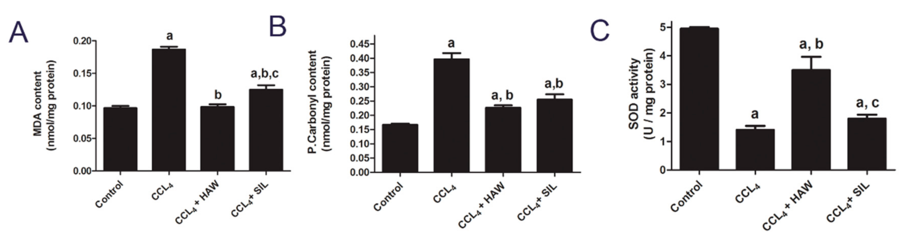 Antioxidants 09 01173 g005