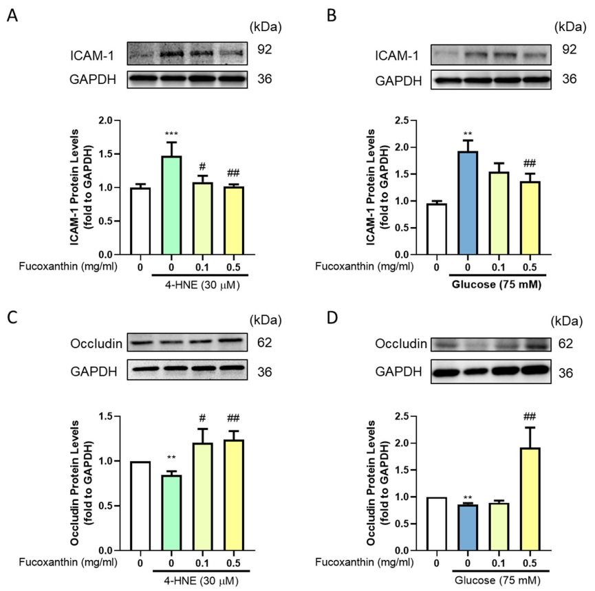 Antioxidants 09 01176 g004