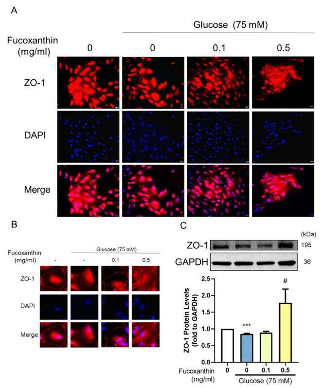 Antioxidants 09 01176 g006