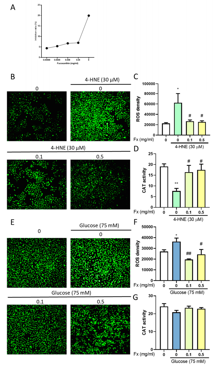 Antioxidants 09 01176 g007