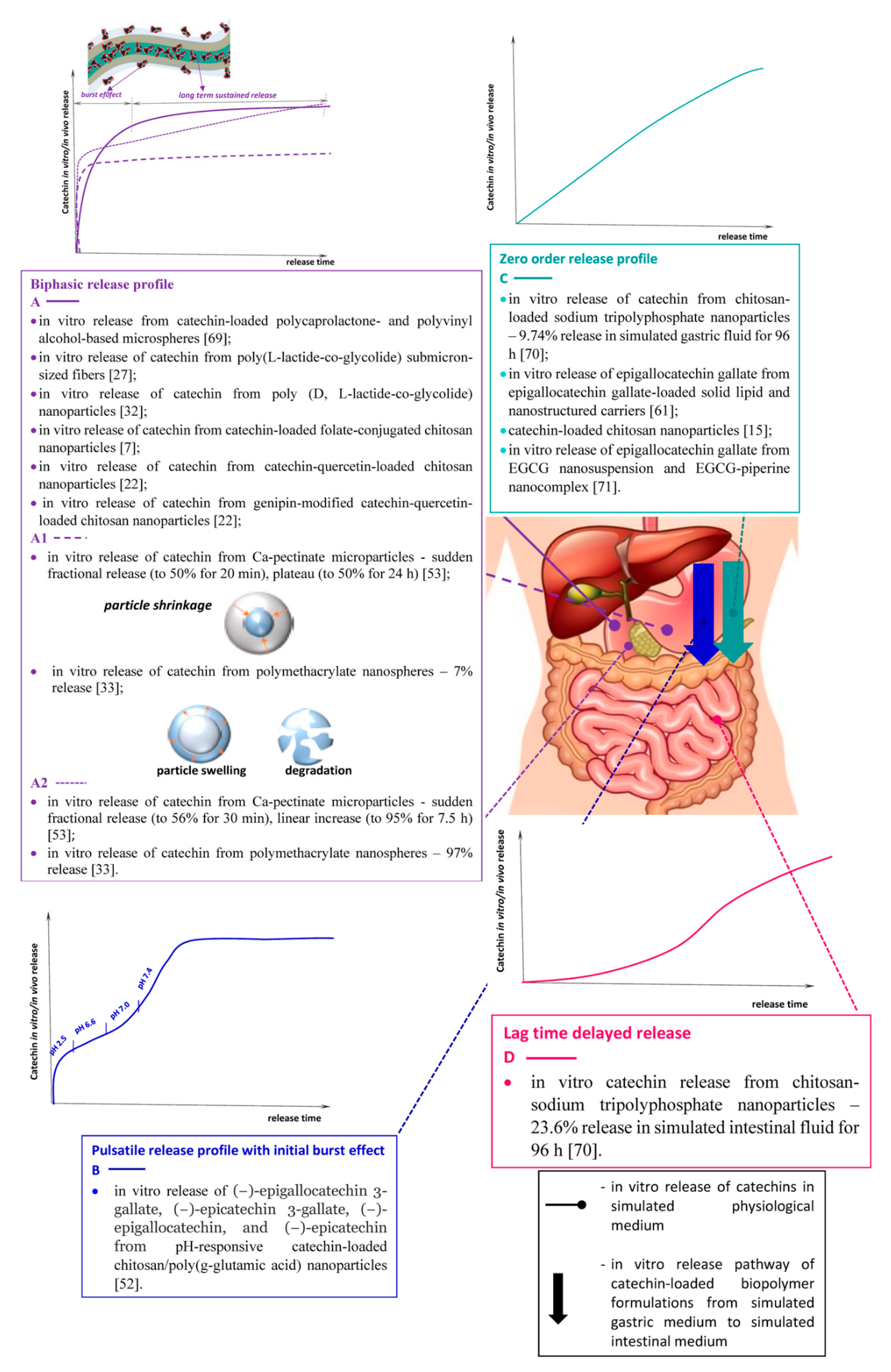 Antioxidants 09 01180 g006
