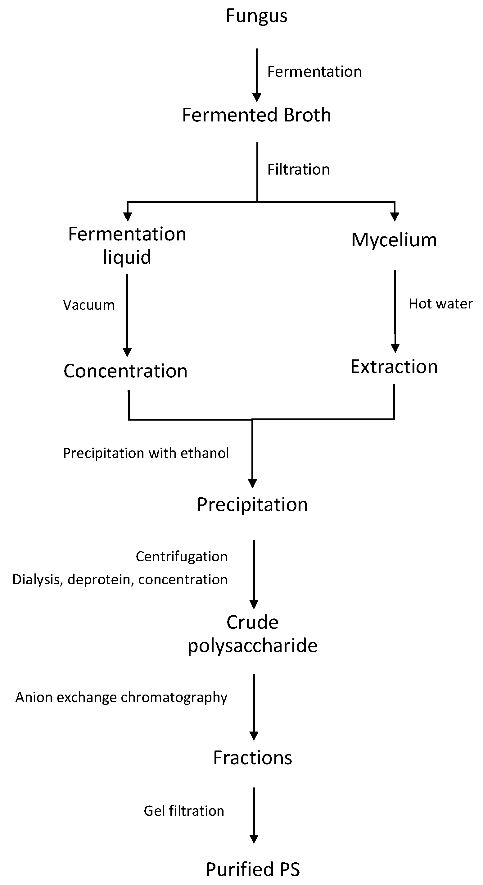 Antioxidants 09 01183 g002