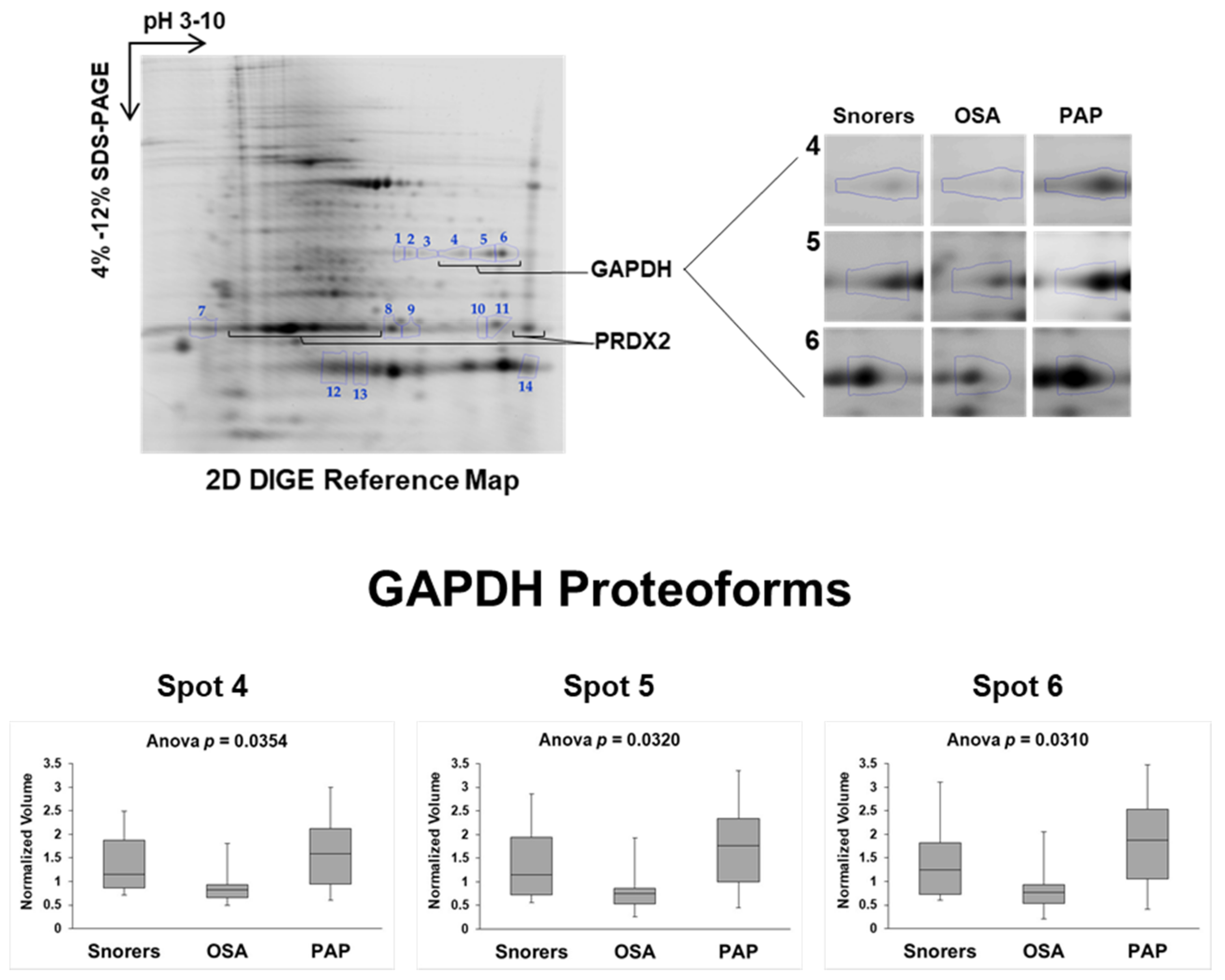 Antioxidants 09 01184 g001
