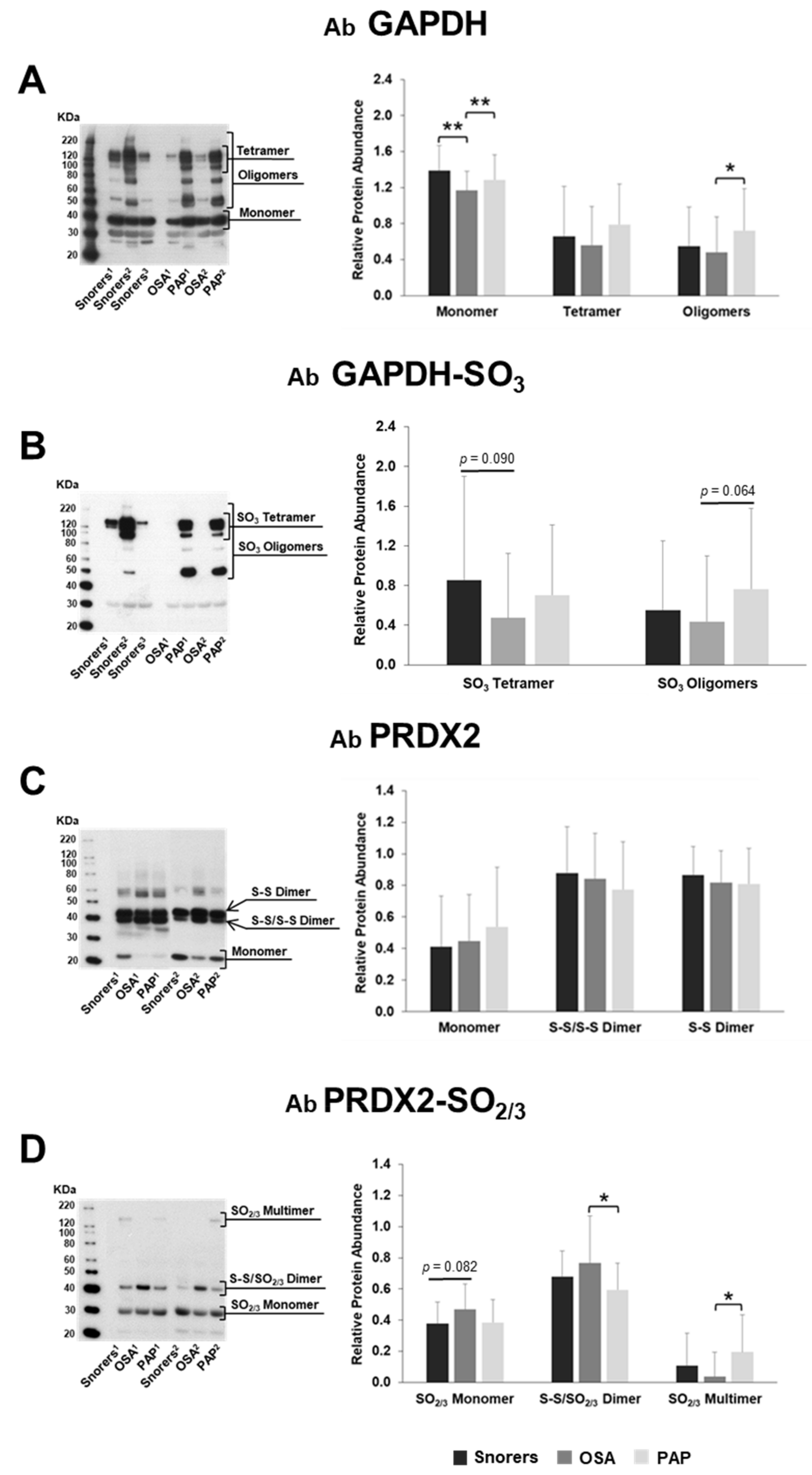 Antioxidants 09 01184 g003