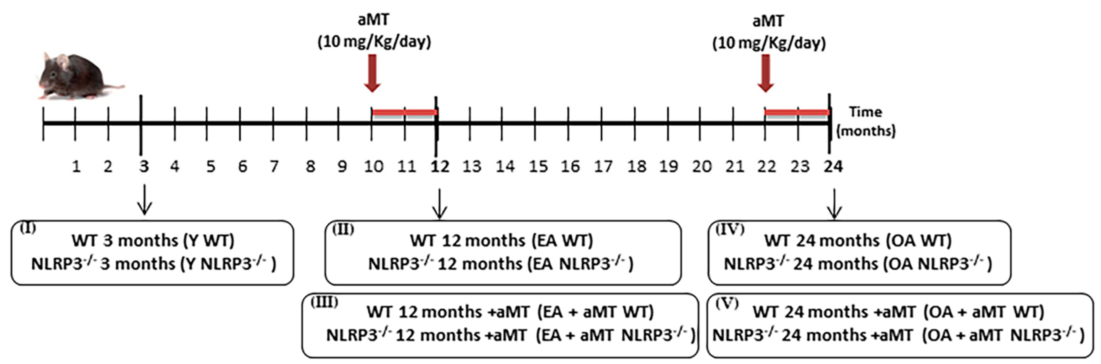 Antioxidants 09 01187 g001