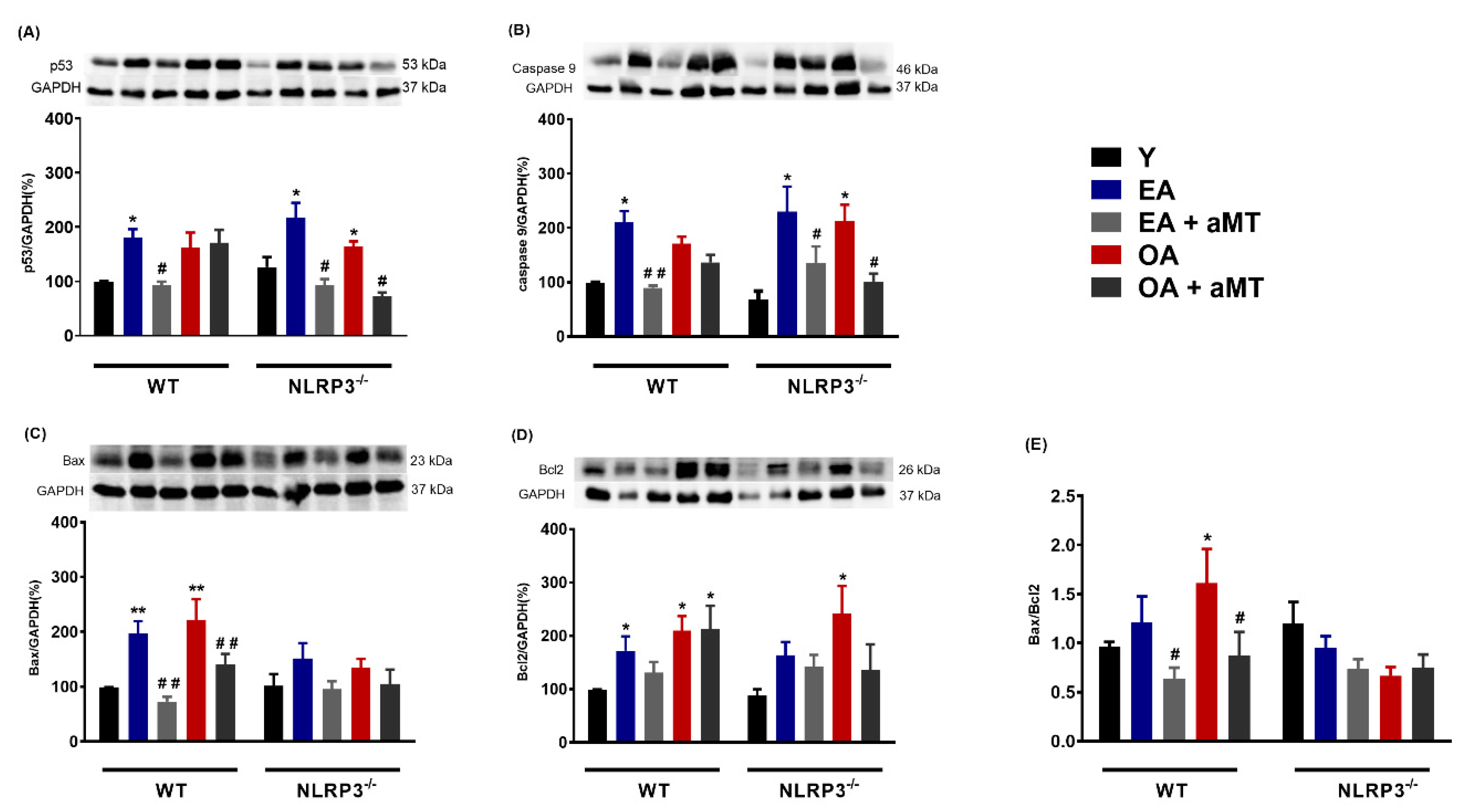 Antioxidants 09 01187 g004