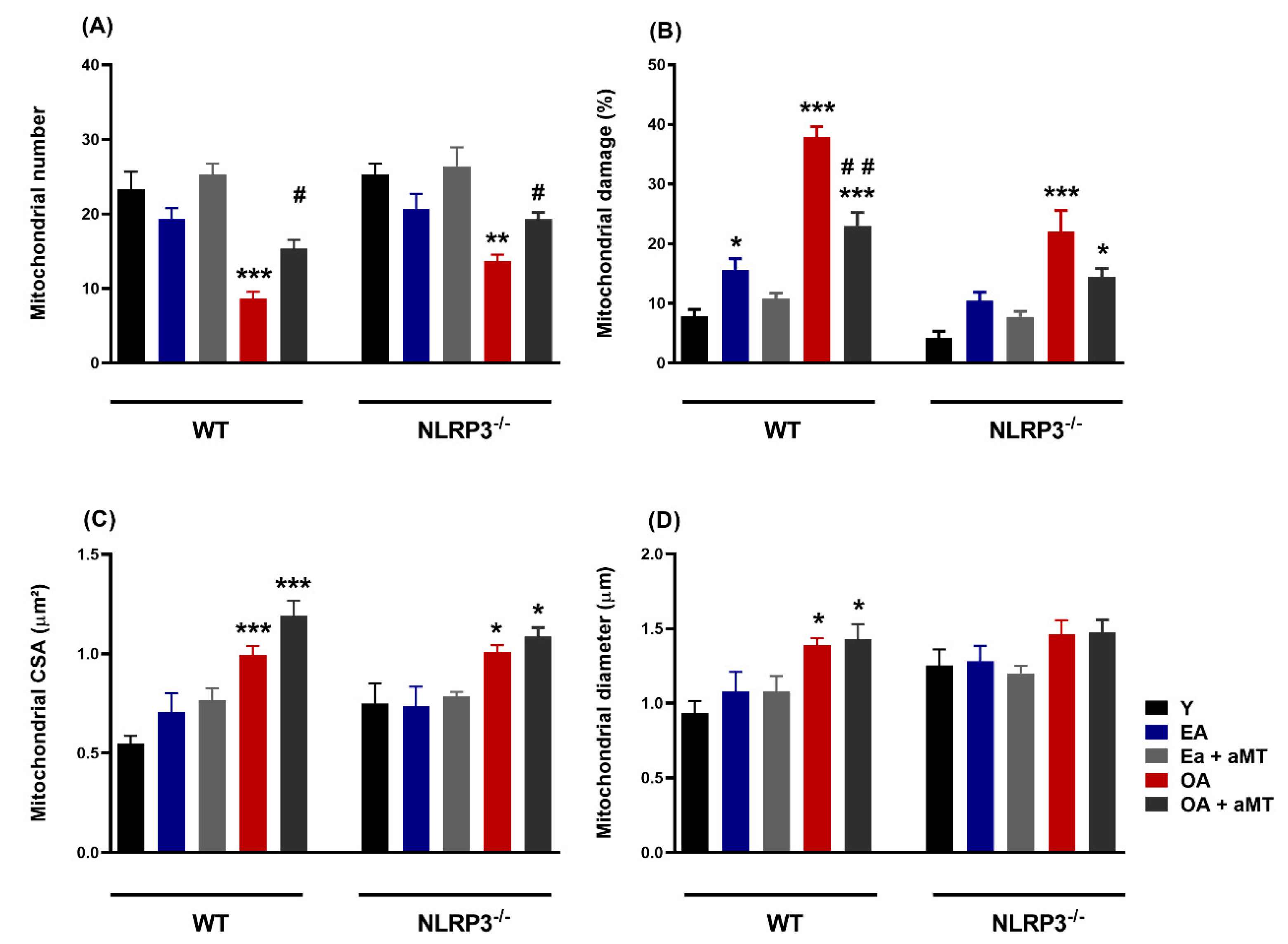 Antioxidants 09 01187 g008