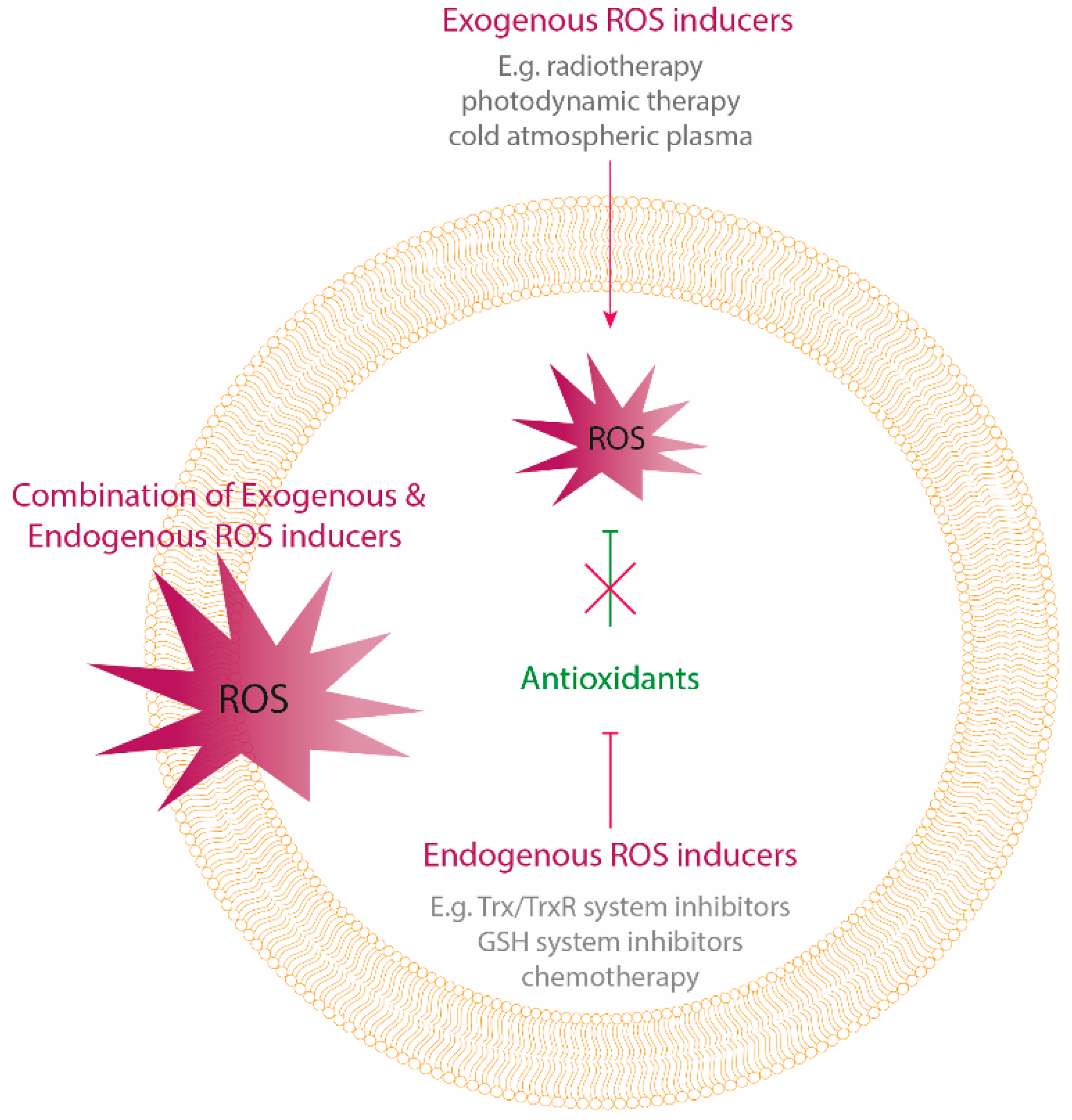 Antioxidants 09 01188 g001