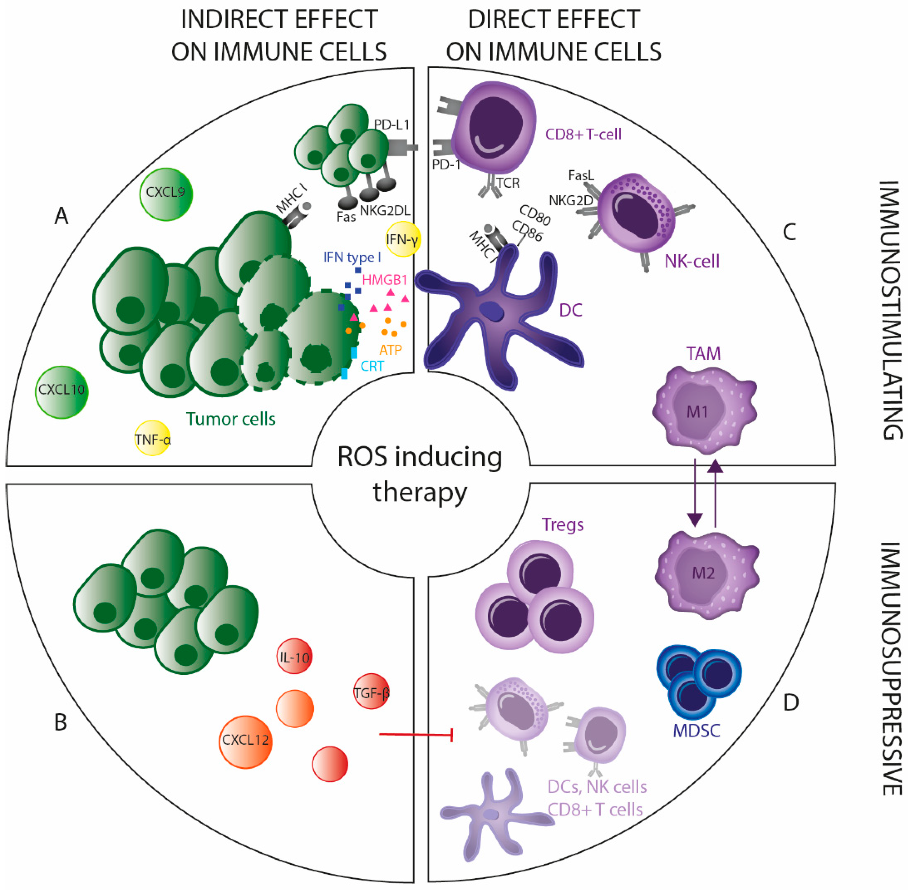 Antioxidants 09 01188 g003