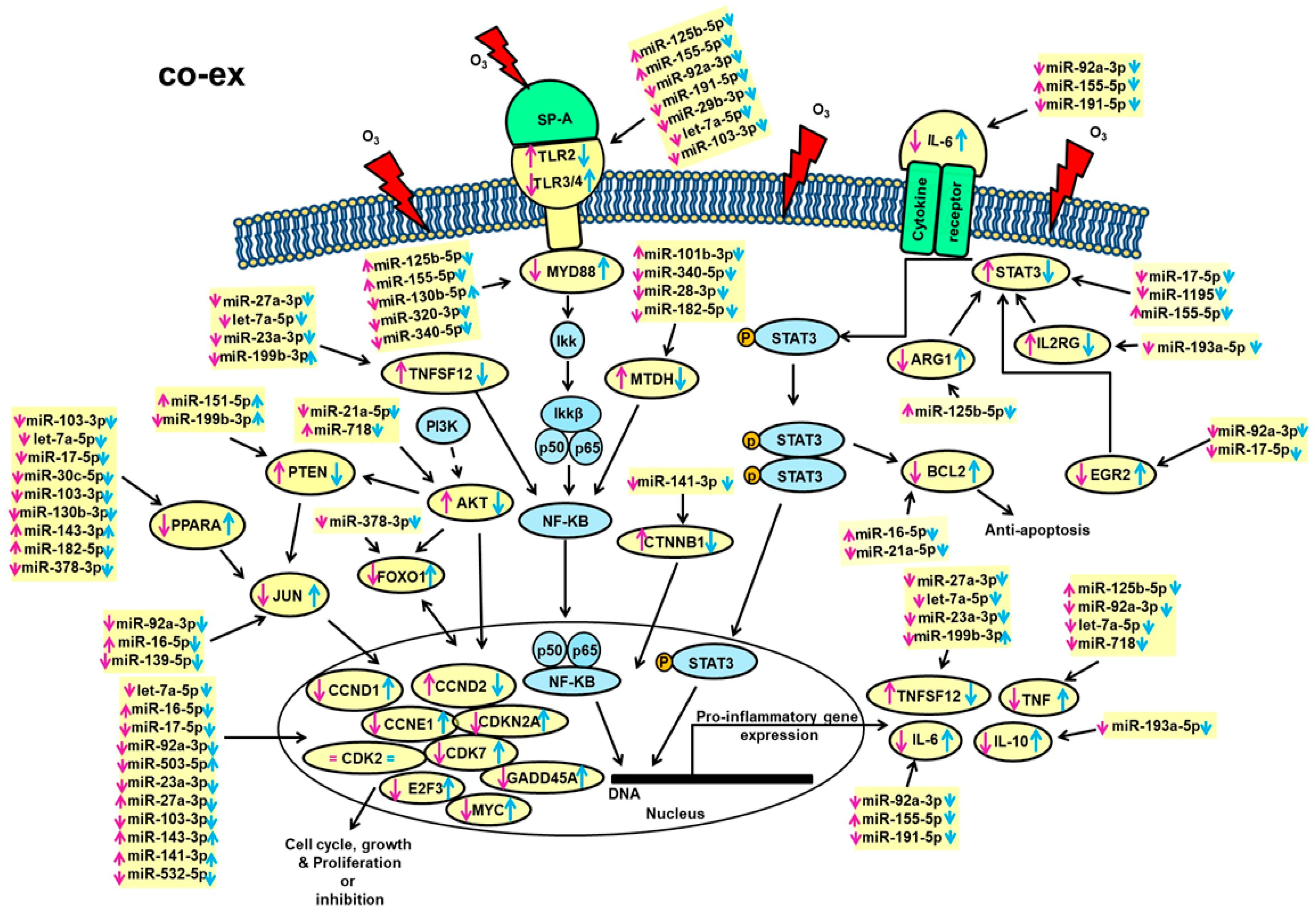 Antioxidants 09 01190 g005 Antioxidants 09 01190 g005