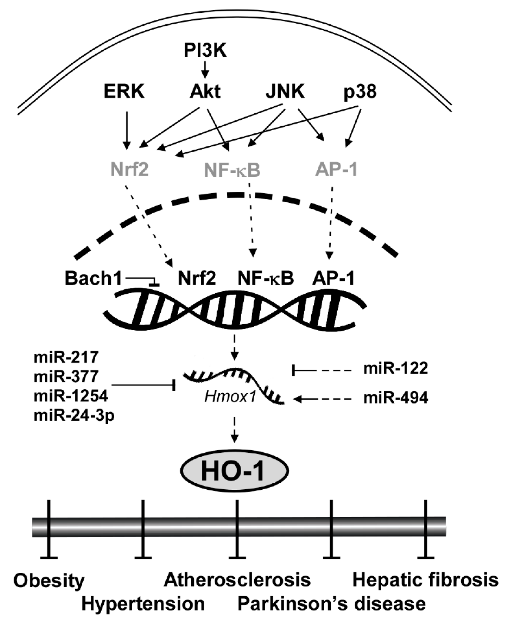 Antioxidants 09 01191 g001