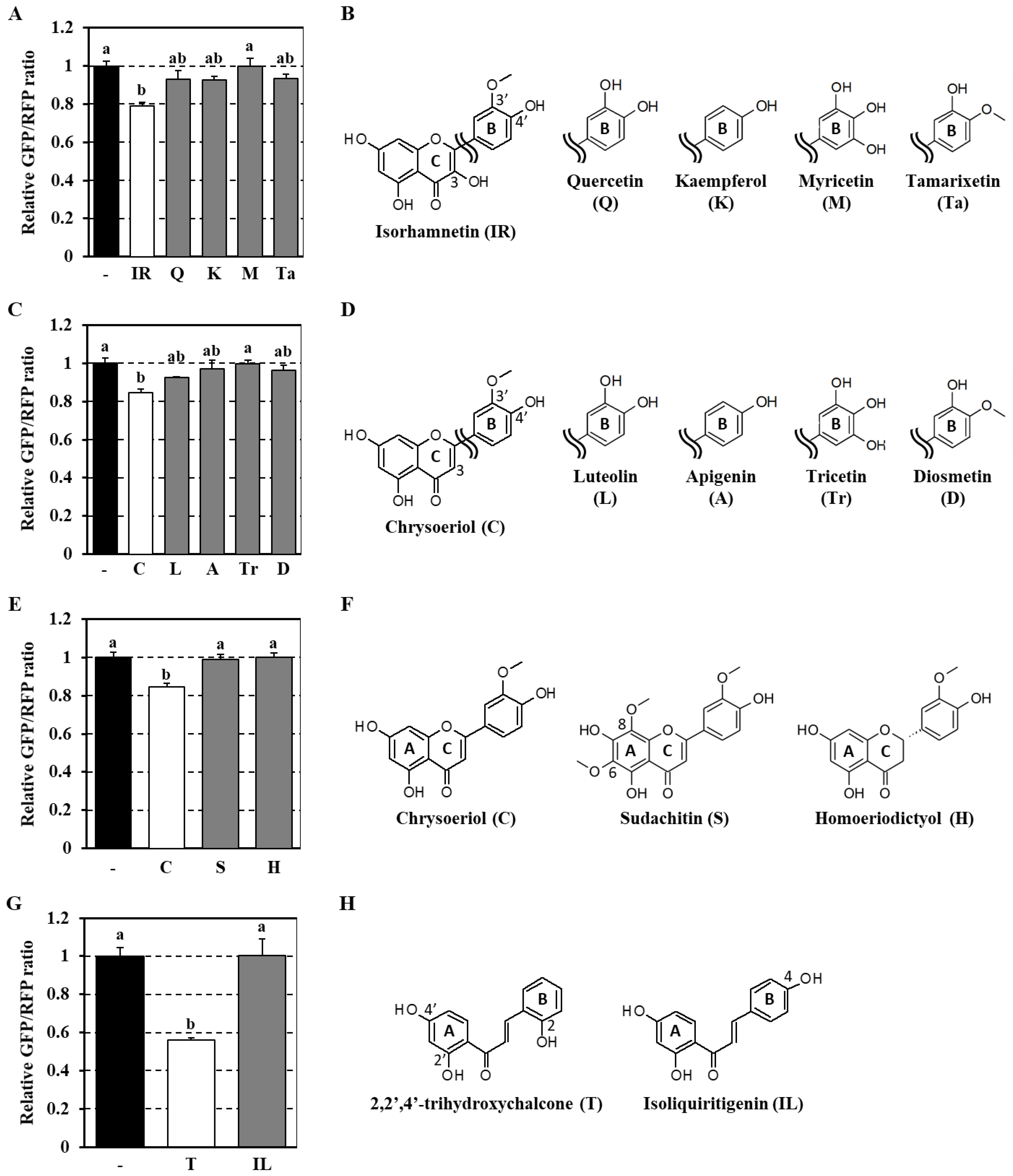 Antioxidants 09 01193 g004
